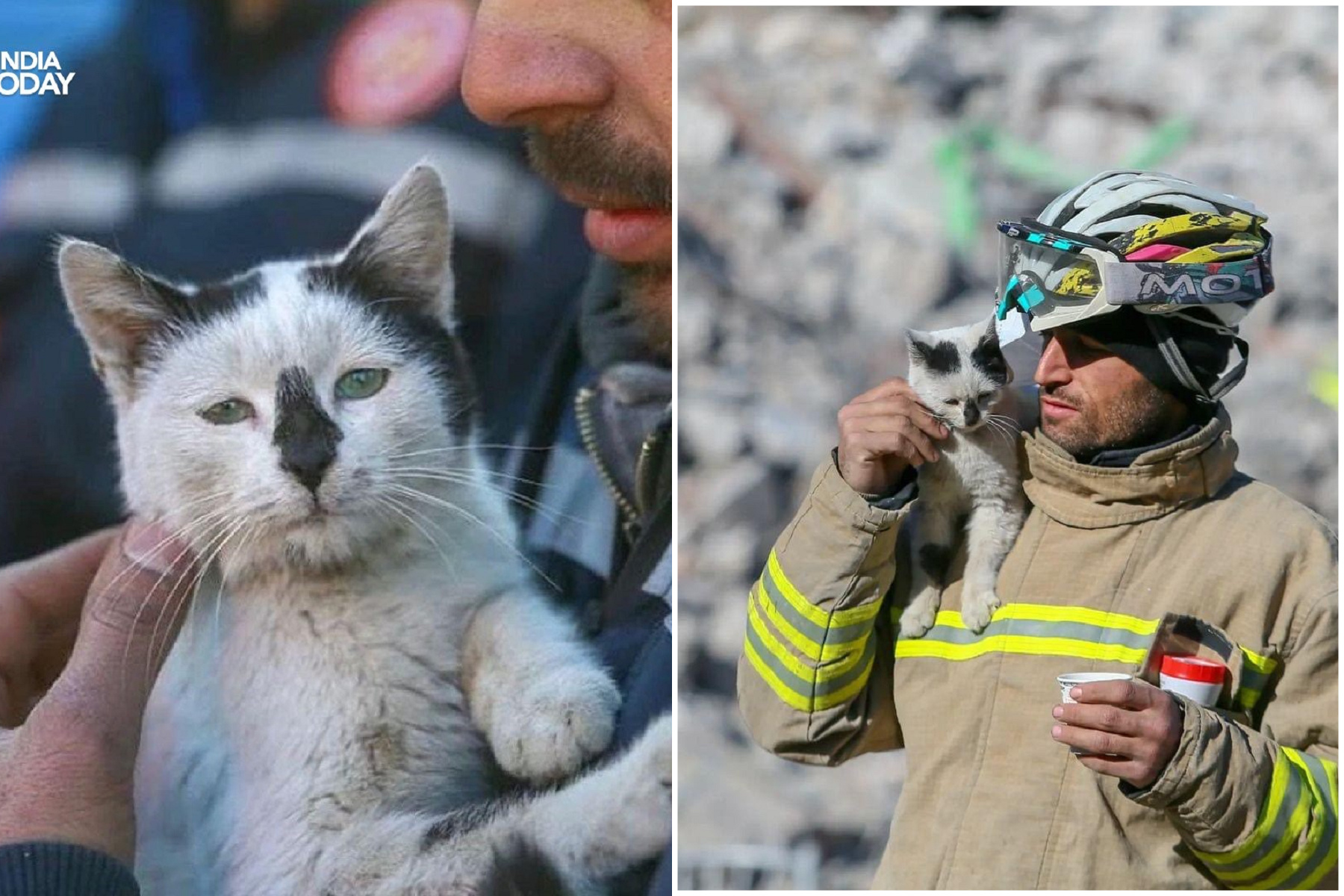 貓貓被壓129小時獲救卻失去主人，今成土耳其消防隊吉祥物！「救命恩人」決定收養。（翻自《今日印度》推特）