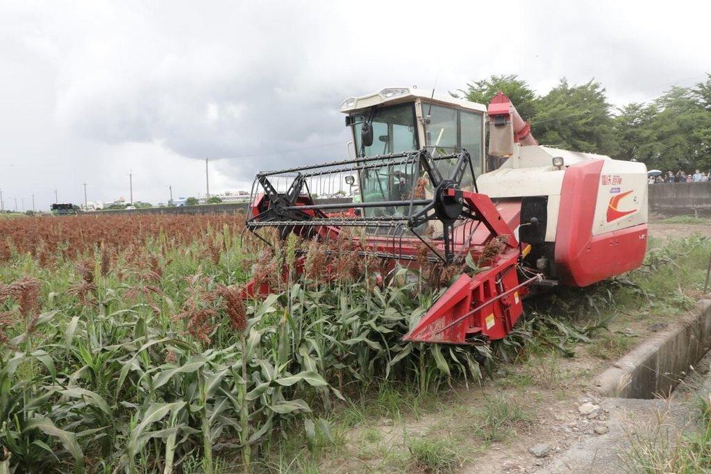 全台遭逢「百年大旱」,去年台南市府積極布局鼓勵農民轉植耐旱作物。(台南市政府提供)