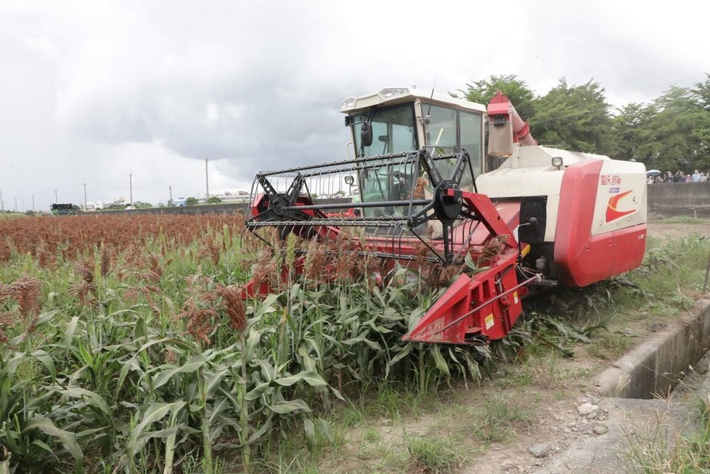 全台遭逢「百年大旱」，去年台南市府積極布局鼓勵農民轉植耐旱作物。（台南市政府提供）