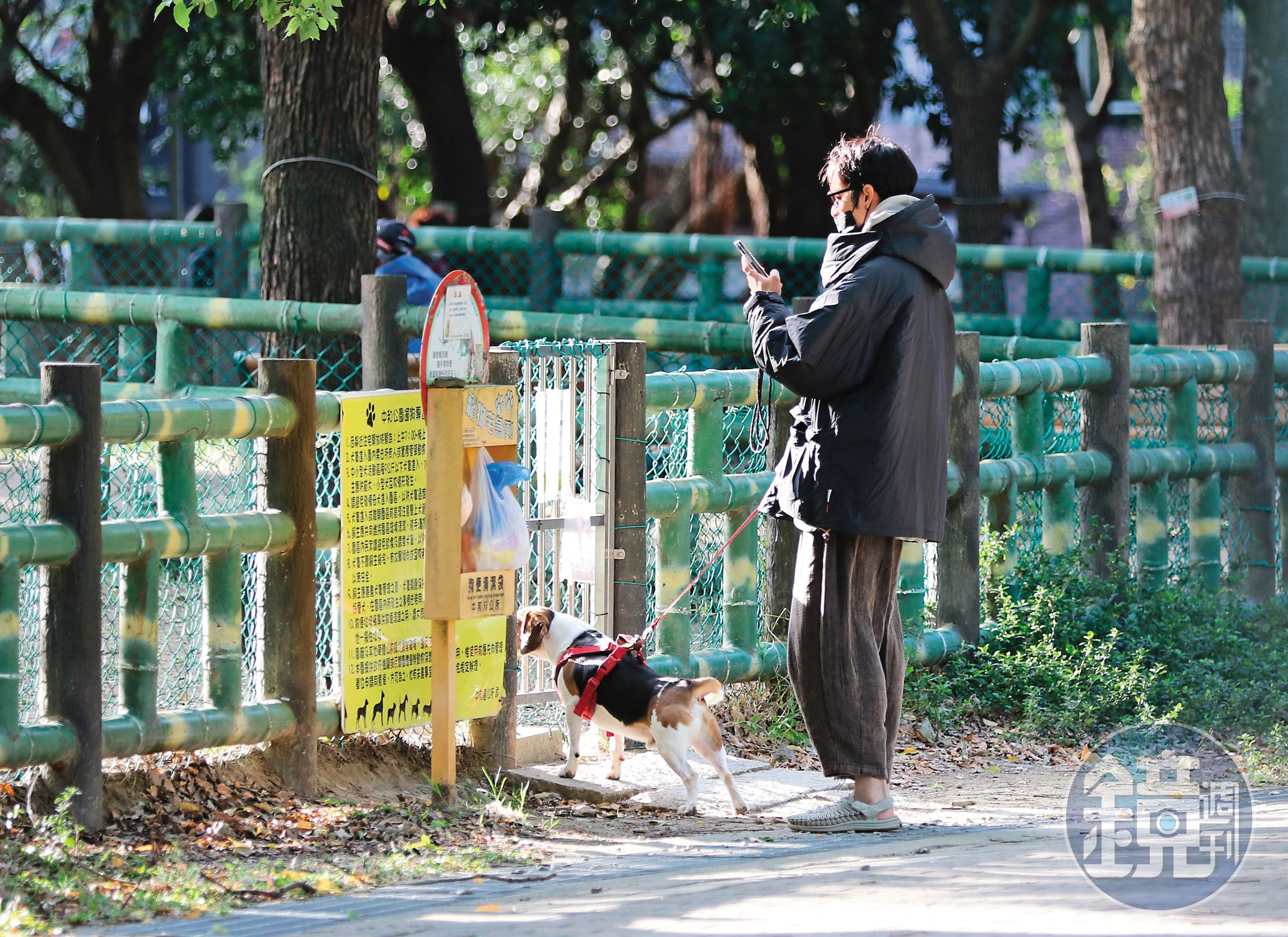 2/16 16：17 曹佑寧從王淨家出門，牽著「勘吉」前往運動公園放風，還幫忙捕捉可愛毛小孩畫面。