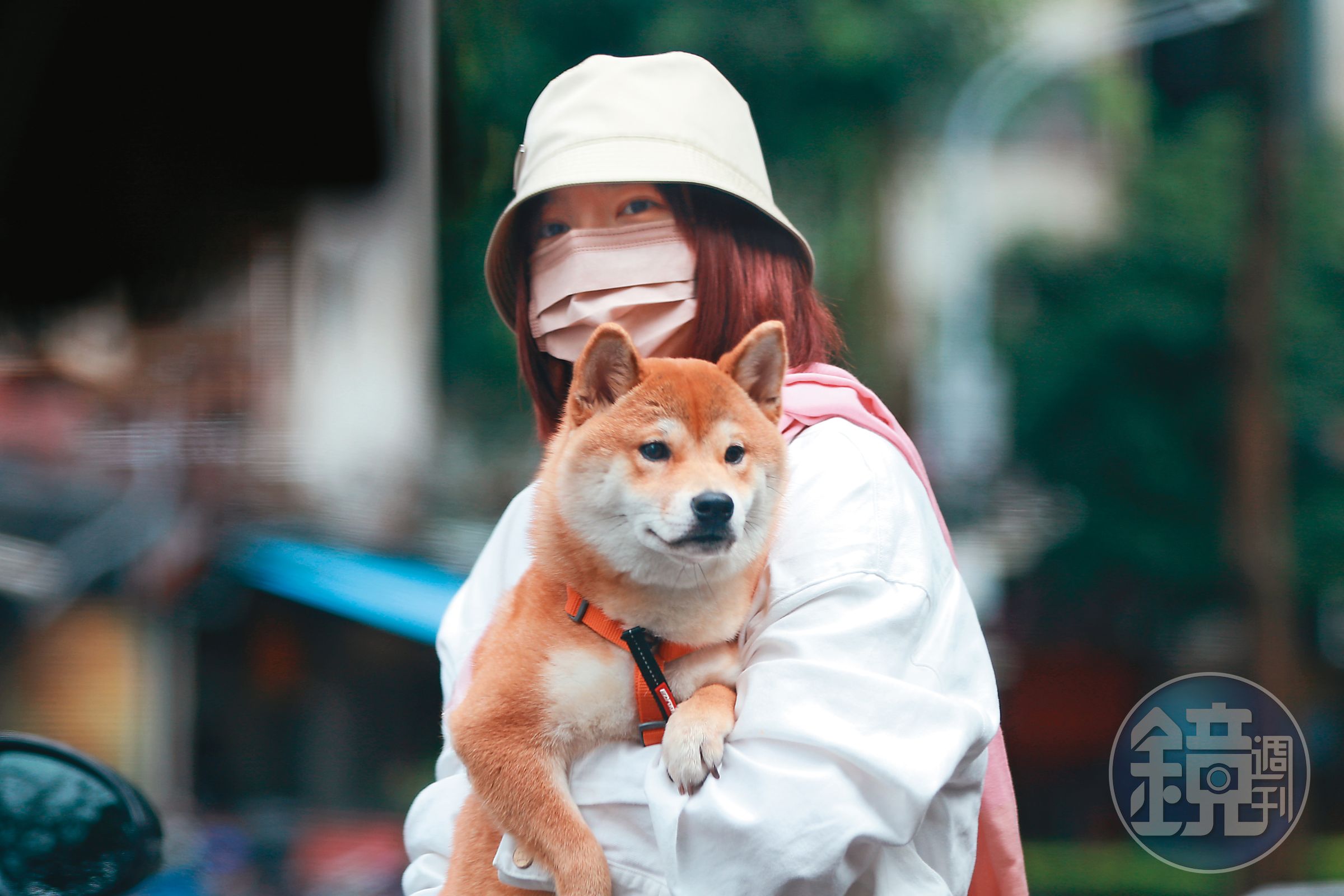 郭雪芙與王子弟弟毛弟相熟,才會抱著毛弟的柴犬「Momo醬」一起溫馨出遊。