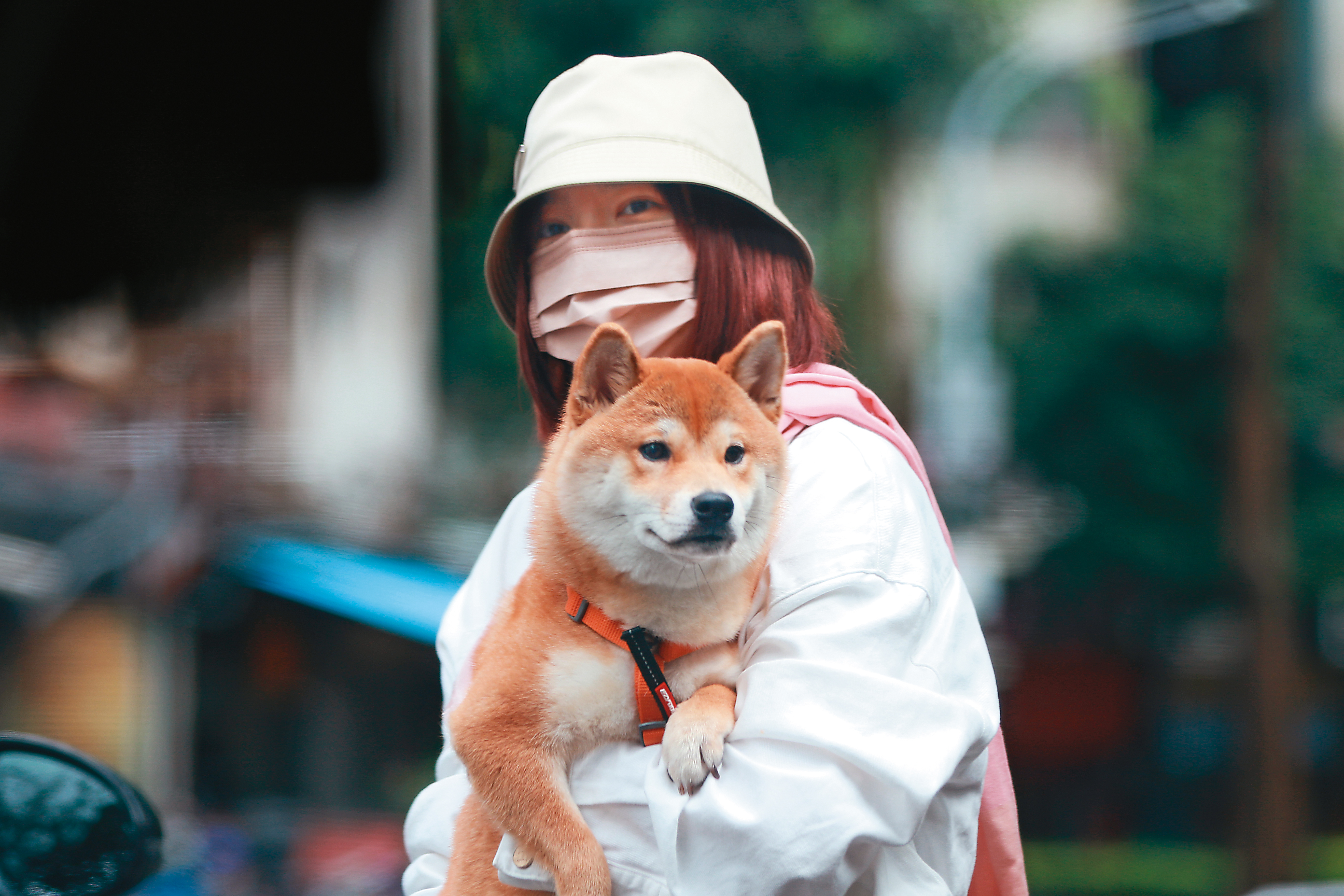 郭雪芙與王子弟弟毛弟相熟，才會抱著毛弟的柴犬「Momo醬」一起溫馨出遊。