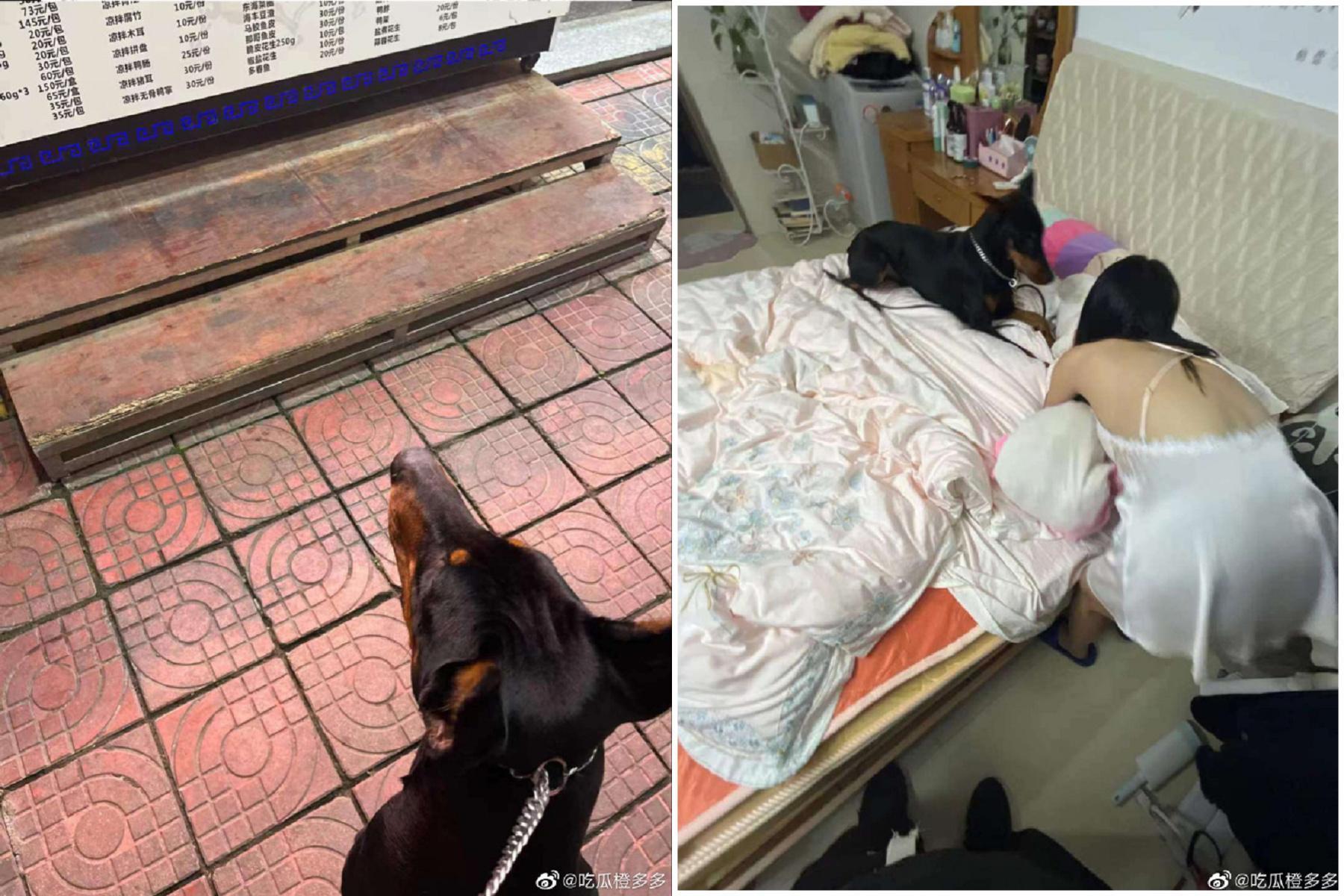 遛狗遛出豔遇！女強拉陌生男與狗「3P上床」，她真的脫了。（翻自微博）