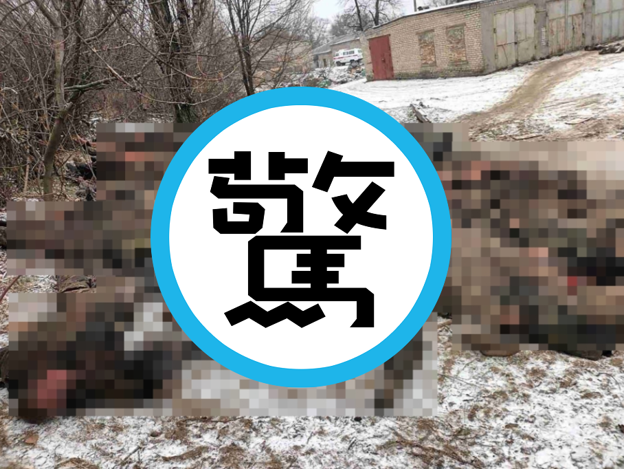 俄「喪屍部隊」被殲滅成陰屍路,驚悚影像曝光!首腦怒嗆普丁:我們彈盡糧絕。(翻自《每日郵報》)