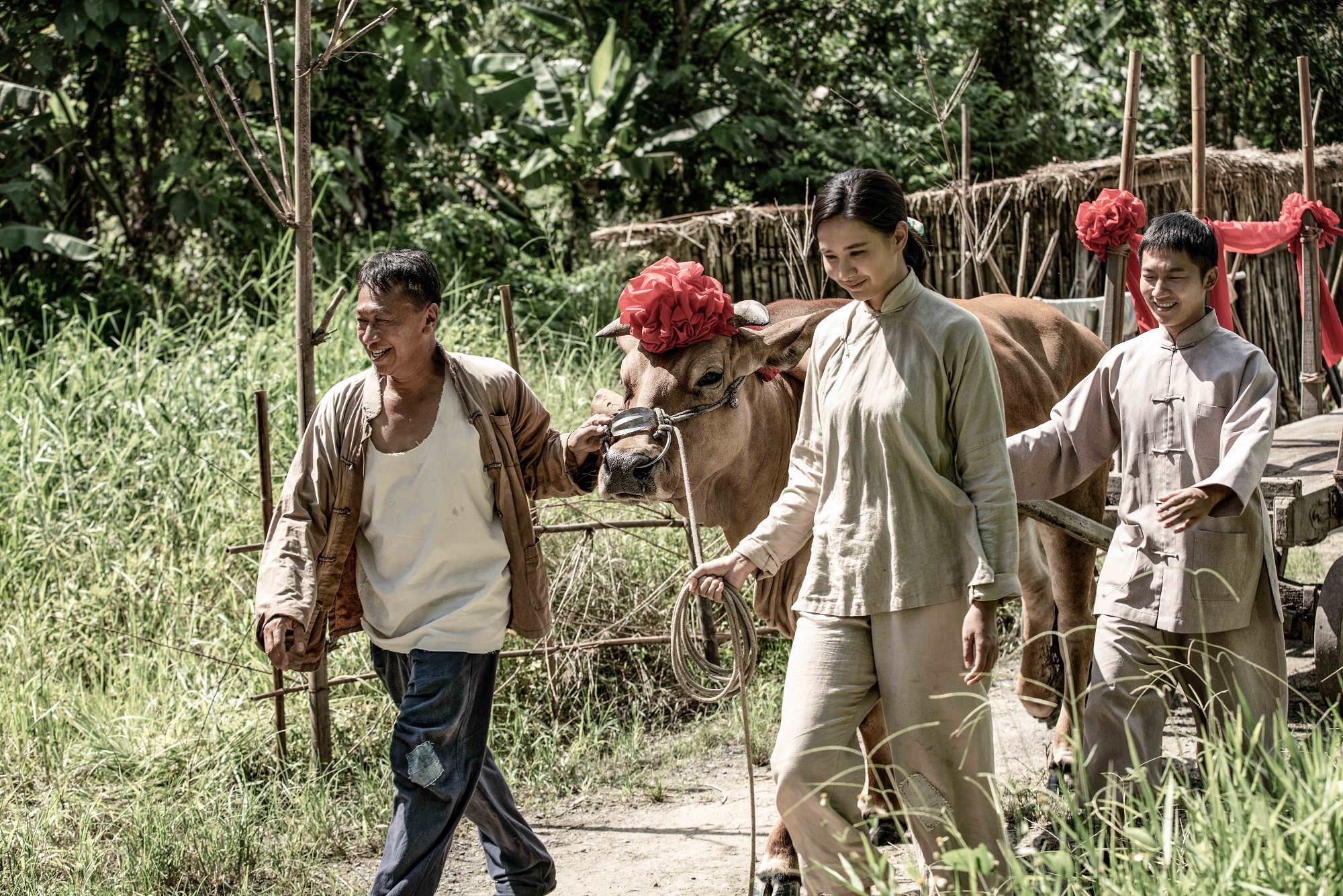 蔡昌憲（右）、安心亞（中）在《牛車來去》中飾演貧農姐弟，與牛演員有多場對手戲。左為游安順。（公視、禾豐製作提供）