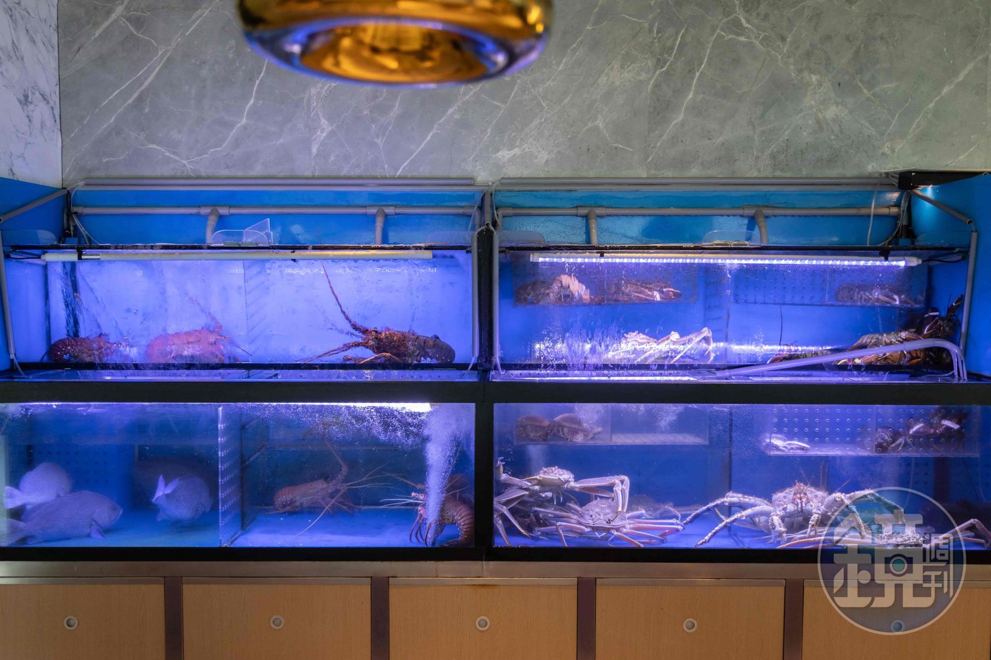 「沐明鍋物」主打活體海鮮，所有龍蝦、螃蟹類皆於客人面前現撈現秤。