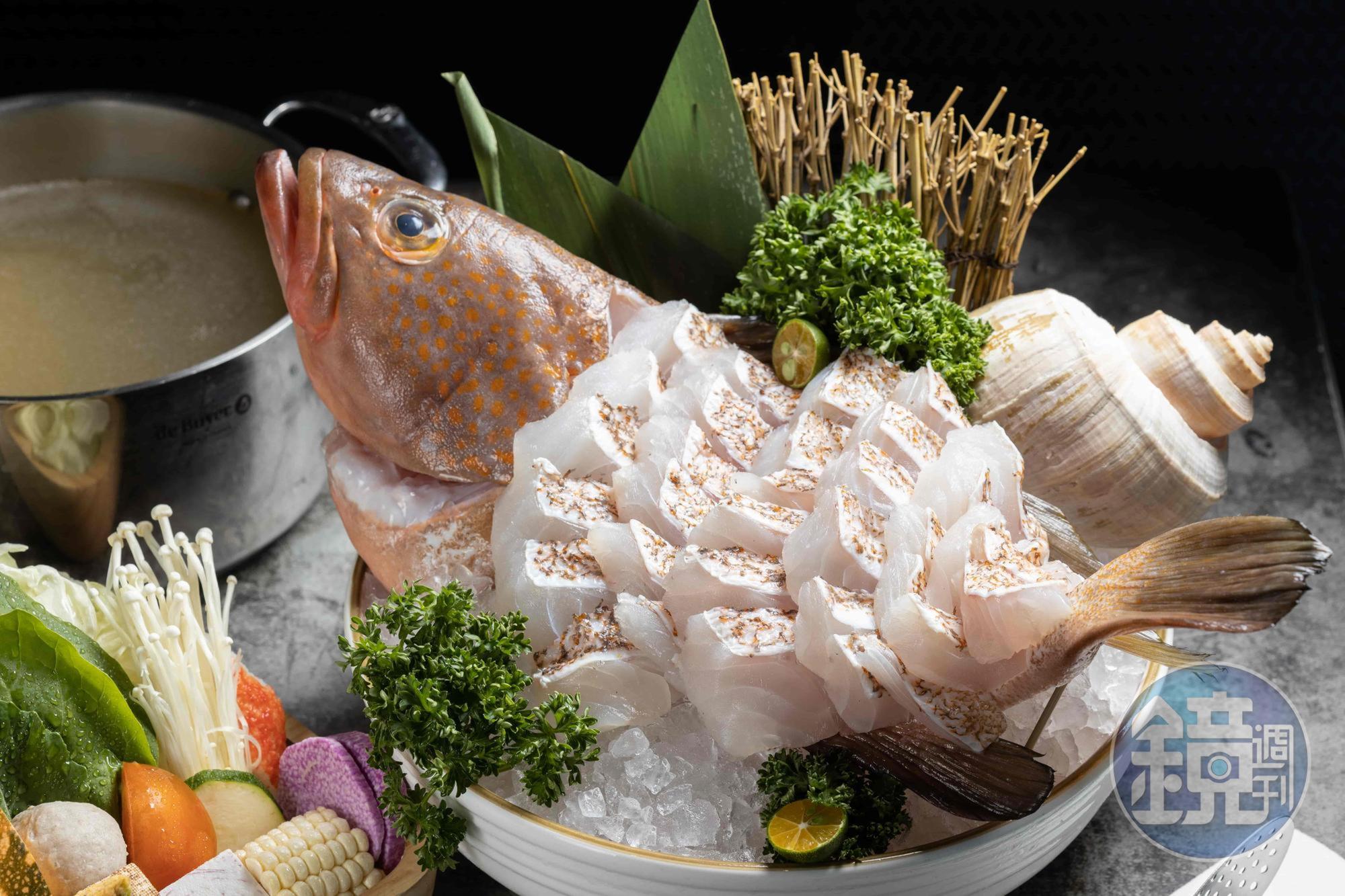 當日品嘗到的「時令鮮魚」的紅斑魚不僅塊頭巨大，色澤也是紅豔瑰麗，肉質腴滑。（時價，圖片中為5,660元／單點）