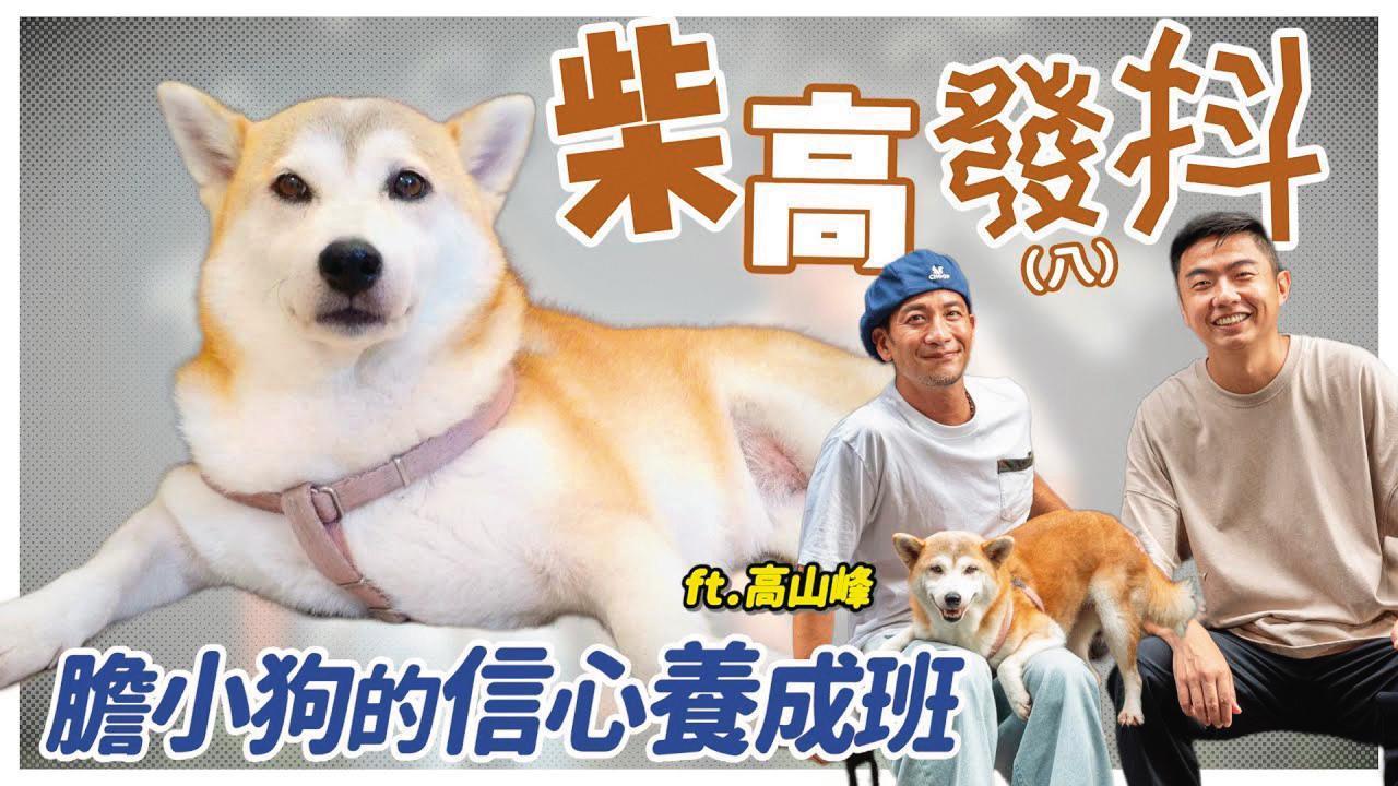 花妹對聲音敏感,對鞭炮聲更是惶恐,害怕到發抖躲桌下,還因此瘦了2公斤。(翻攝自熊爸估狗YouTube)