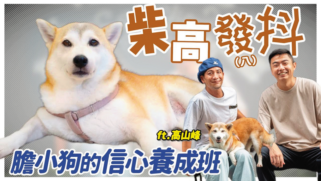 花妹對聲音敏感，對鞭炮聲更是惶恐，害怕到發抖躲桌下，還因此瘦了2公斤。（翻攝自熊爸估狗YouTube）