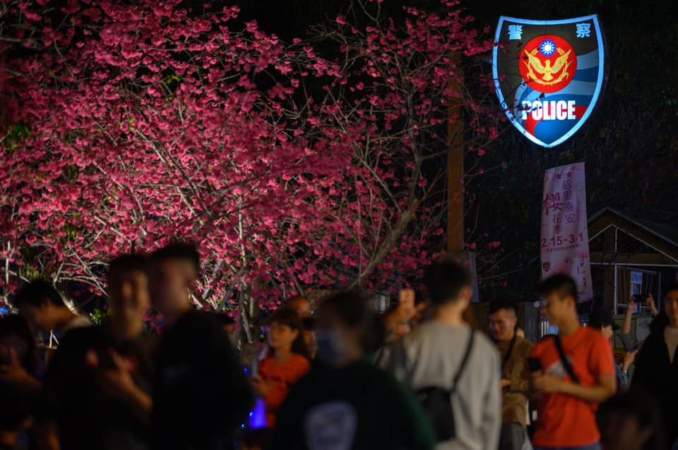 市政府警察局局長室表示,泰安派出所周遭的夜櫻也值得一看。(翻攝自TCPB 局長室臉書)