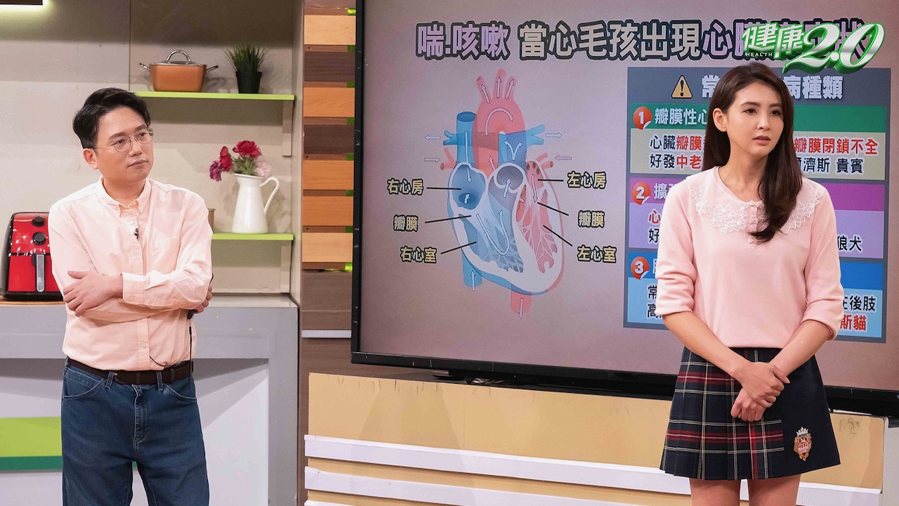 《健康2.0》主持人江坤俊與韋汝與來賓討論「毛孩」醫療內容。(TVBS提供)