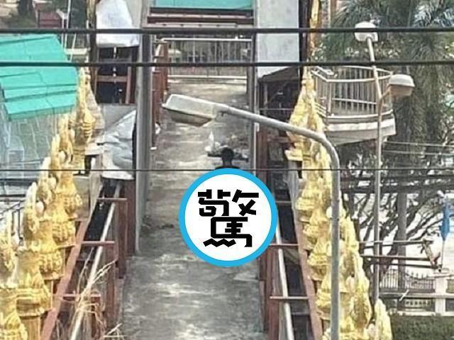 當你在缺蛋，這群男女公然在天橋上「孵蛋式3P」！鄉民受驚興奮了。（翻自臉書）