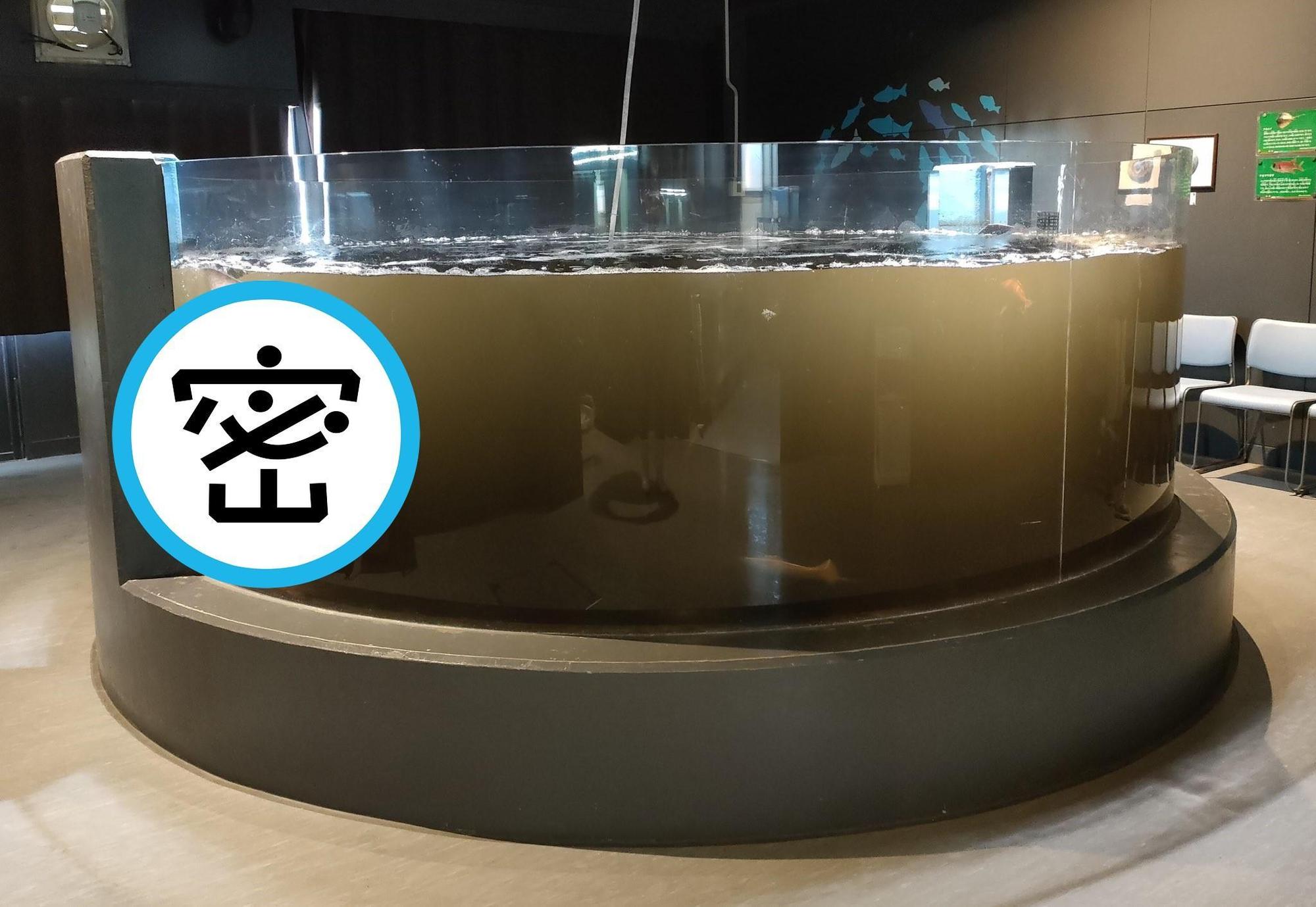 日本高知縣的水族館，因為一隻赤魷吐汁，導致魚缸一片黑。（翻攝自@murosui_kochi推特）