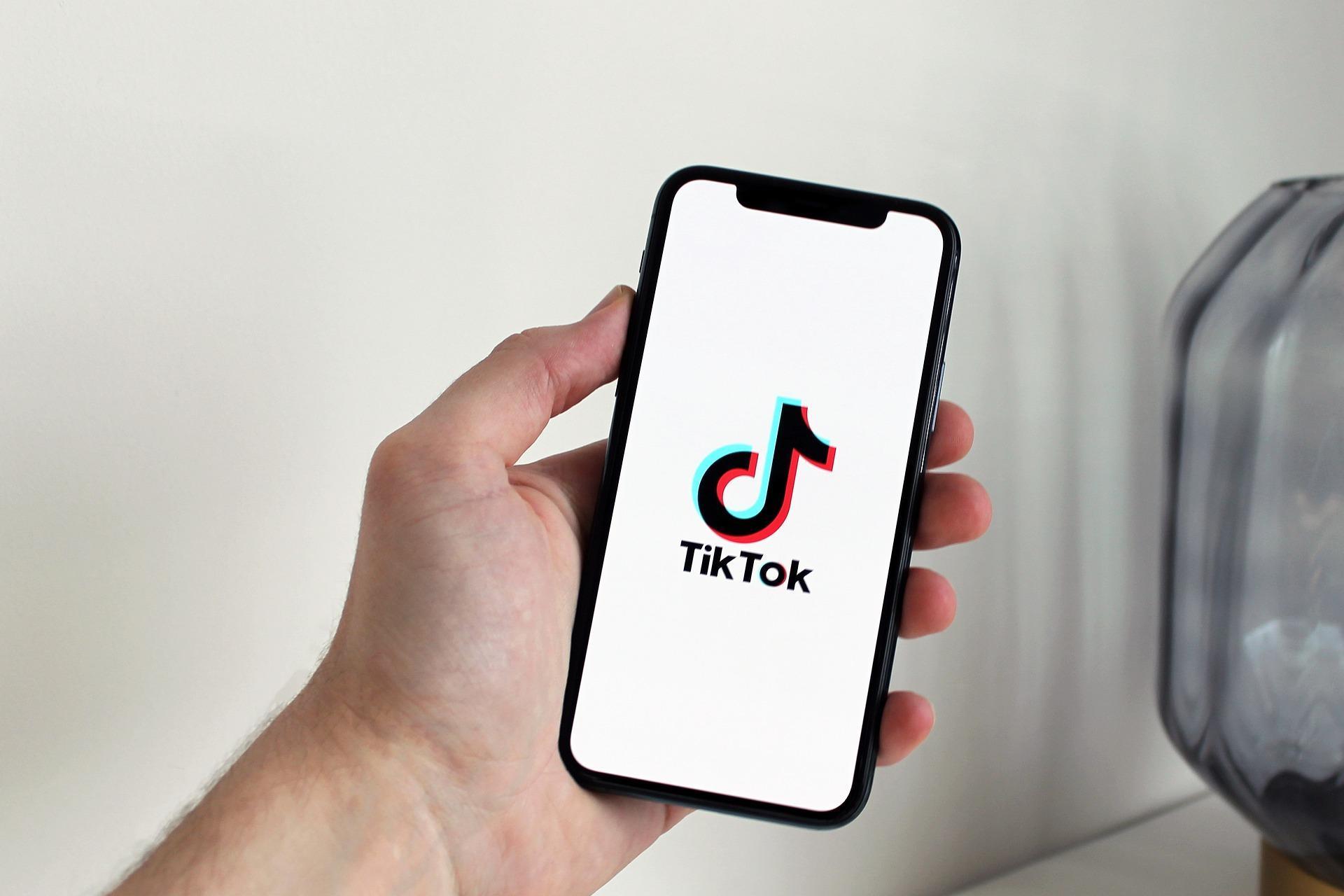 日本內閣官房長官松野博一宣布，將禁止部分公務通訊設備安裝「TikTok」；示意圖。（Pixabay ／Image by antonbe）