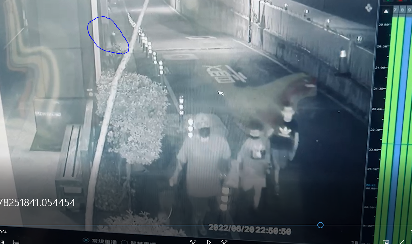 去年6月,飼主帶飼犬外出散步時,後方比特犬突然衝出咬傷其飼犬。(新北動保處提供)