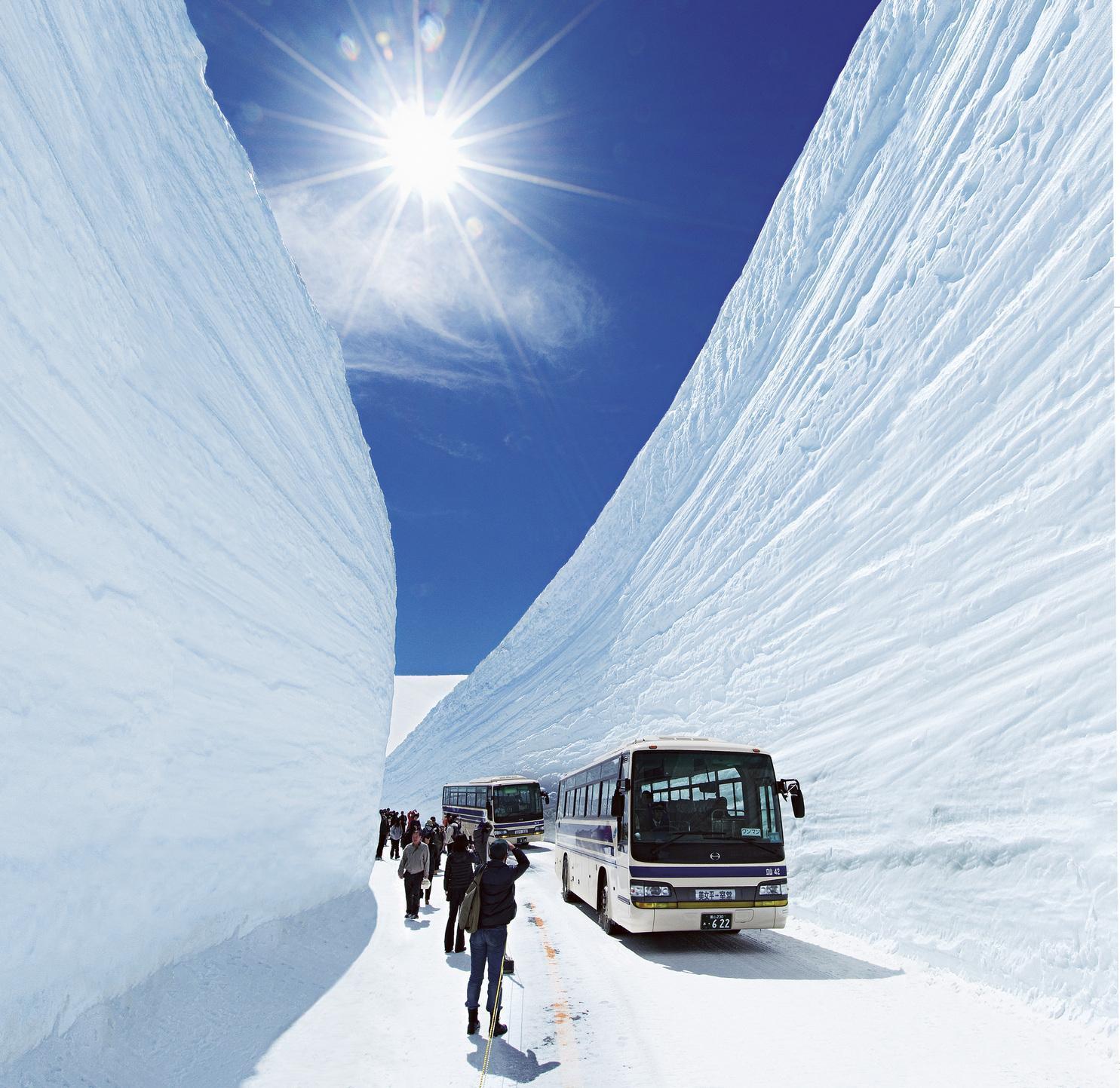 立山黑部行程世邦旅遊以長榮直飛名古屋的包機。(世邦旅遊提供)