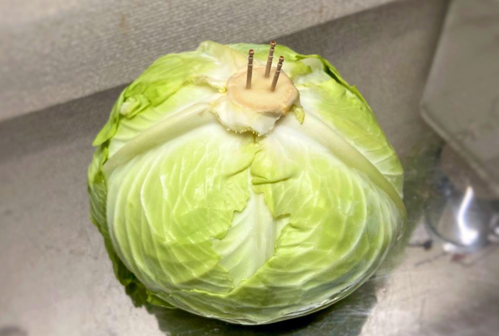 只要在高麗菜的芯上插入牙籤,可以延長保鮮。(翻攝推特 麦ライス(シェフ))