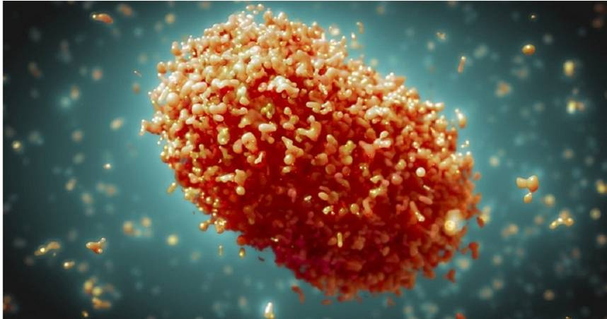 因應猴痘疫情，疾管署將增購疫苗擴大施打。（翻攝自WHO官網）