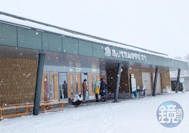 下雪時的旭山動物園很美、很療癒。