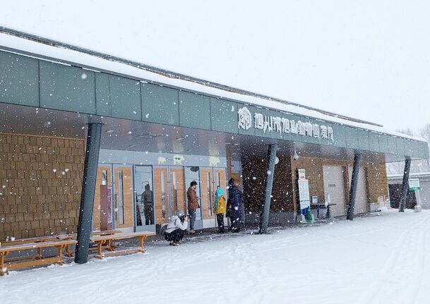 下雪時的旭山動物園很美、很療癒。