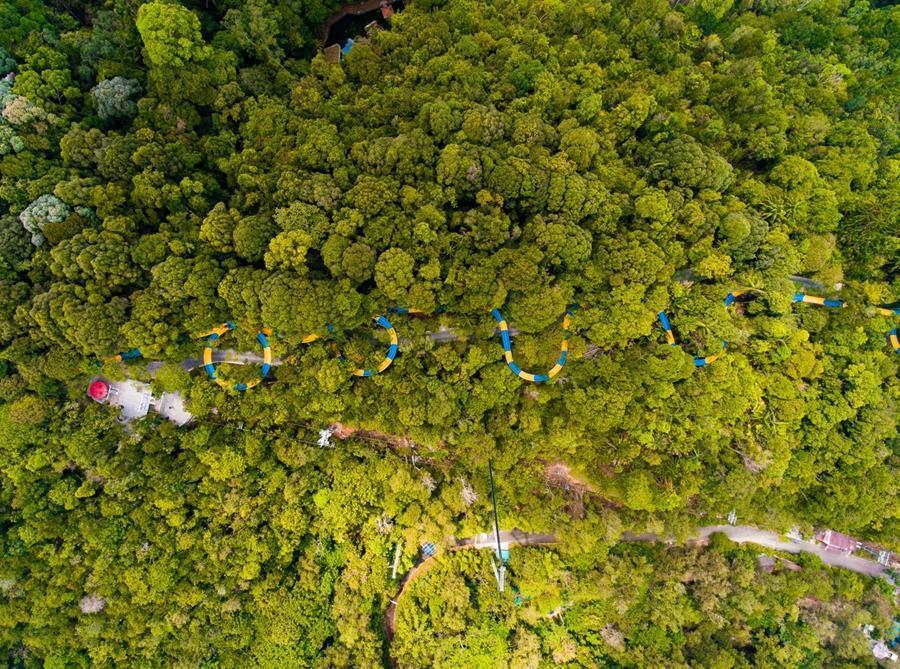 「世界最長滑水道」綿延在叢林中。(檳城環球旅遊局提供)
