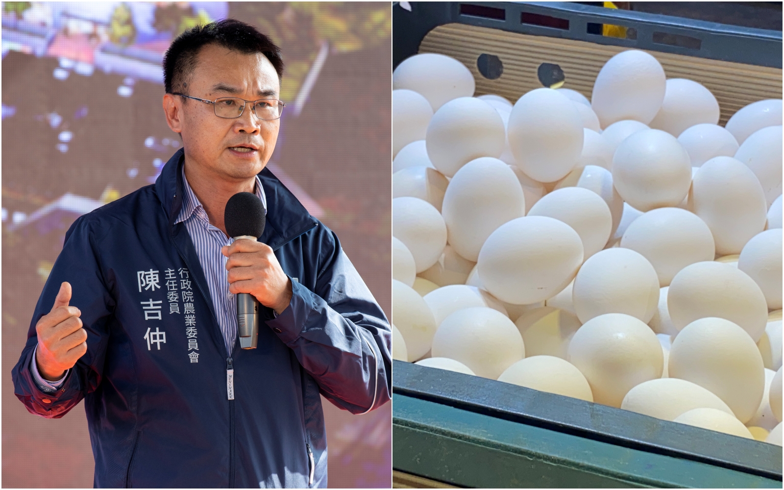 農委會主委陳吉仲透露只進口澳洲雞蛋的原因，主要在於國內檢疫規範的考量。（本刊資料照）