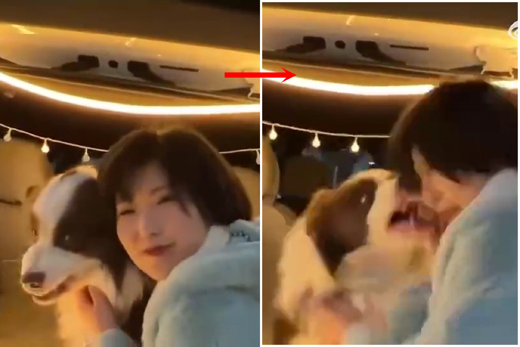 妹子緊抱親熱，狗狗「恁爸不爽」一口狠咬害她破相。（翻自微博）