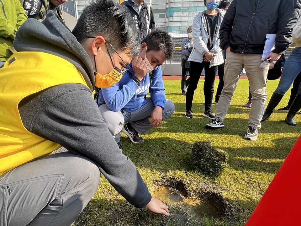 新竹市議員日前至新竹市立棒球場會勘,發現草皮區竟長出數朵香菇,引發網友熱議。(翻攝自新竹市議員林彥甫臉書)