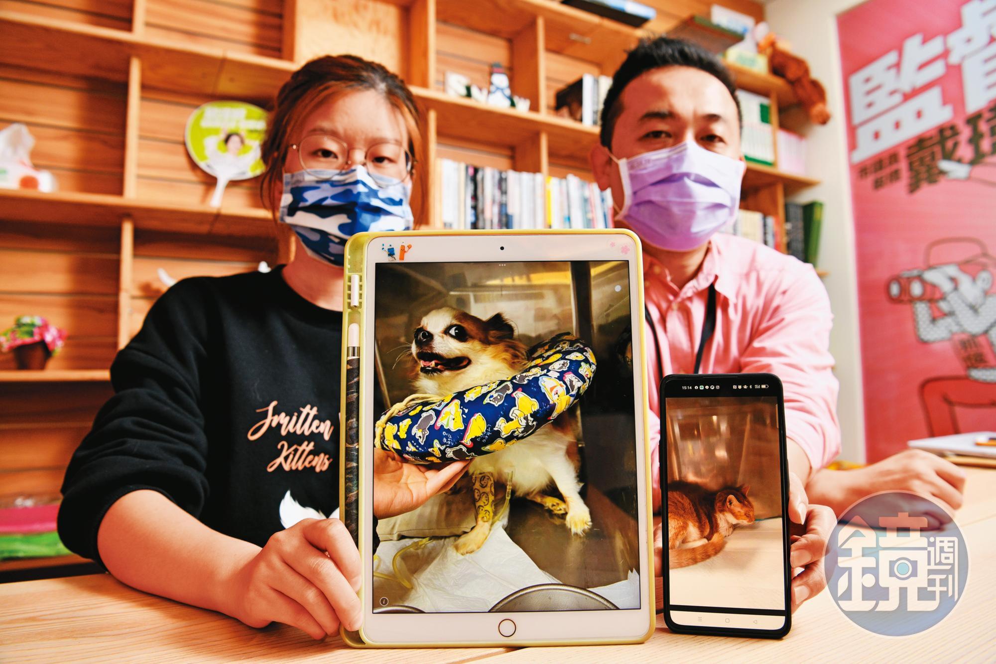 二名飼主秀出寵物的照片,控訴台大翔心動物醫院狀況百出。