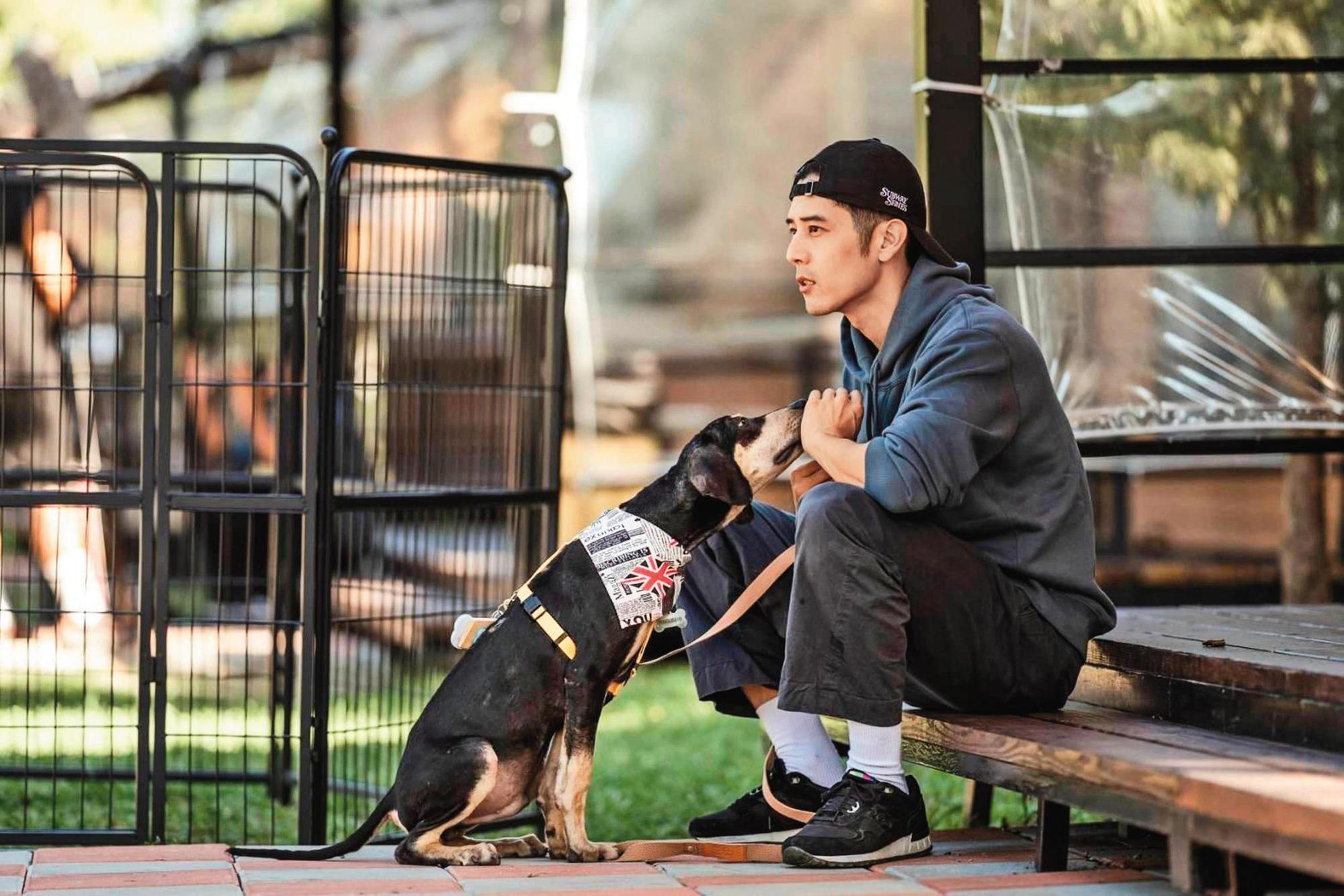 寵物實境節目今年意外成為主流，胡宇威參與的《TOP DOG》以關懷流浪動物為主軸。（三立提供）