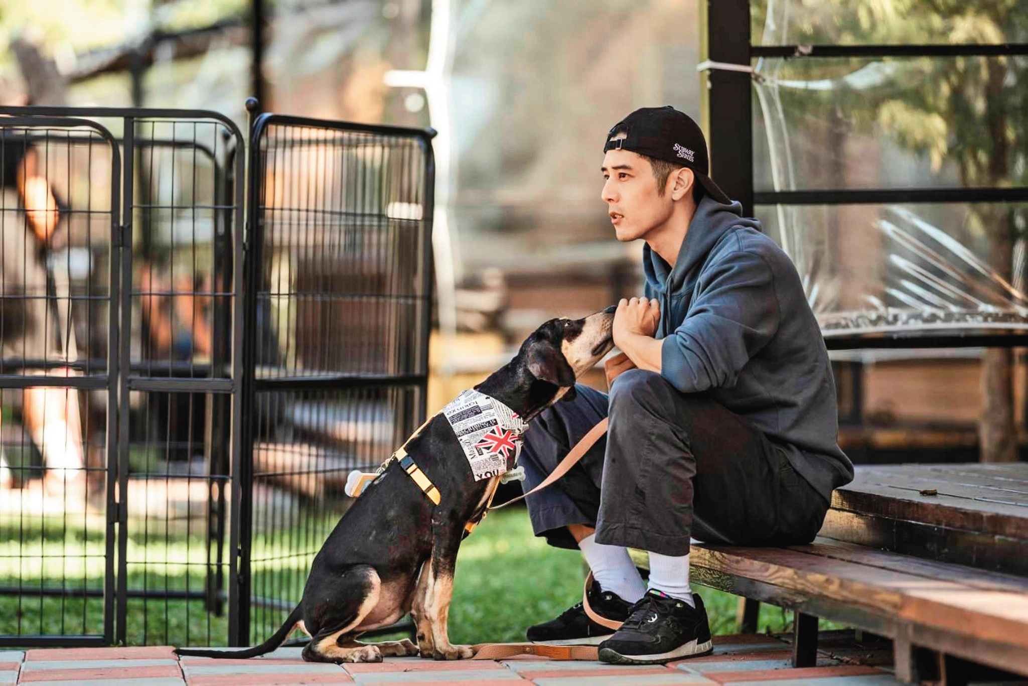 寵物實境節目今年意外成為主流，胡宇威參與的《TOP DOG》以關懷流浪動物為主軸。（三立提供）