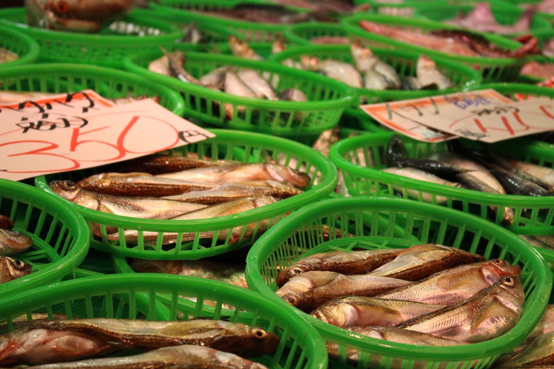 網友爆料媽媽在市場買到一條5元的魚，低廉的價格引發網友好奇熱議。（示意圖，photoAC）