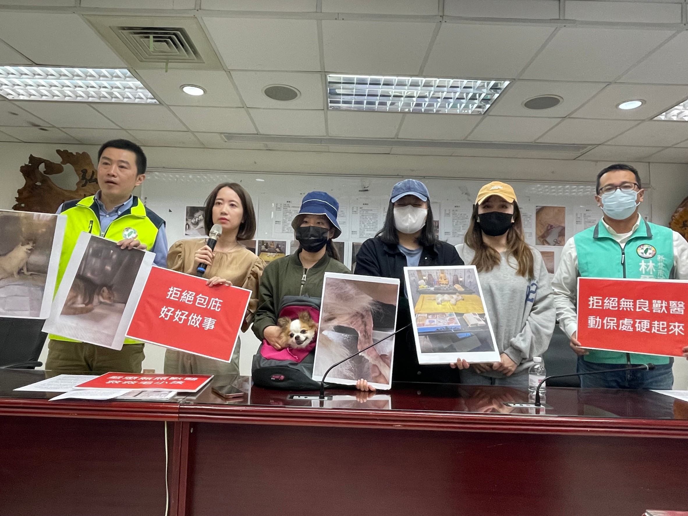 戴瑋姍、張錦豪、林秉宥要求動保處全面稽查動物醫院，不應再有黑心診療情形發生。（戴瑋姍服務處提供）