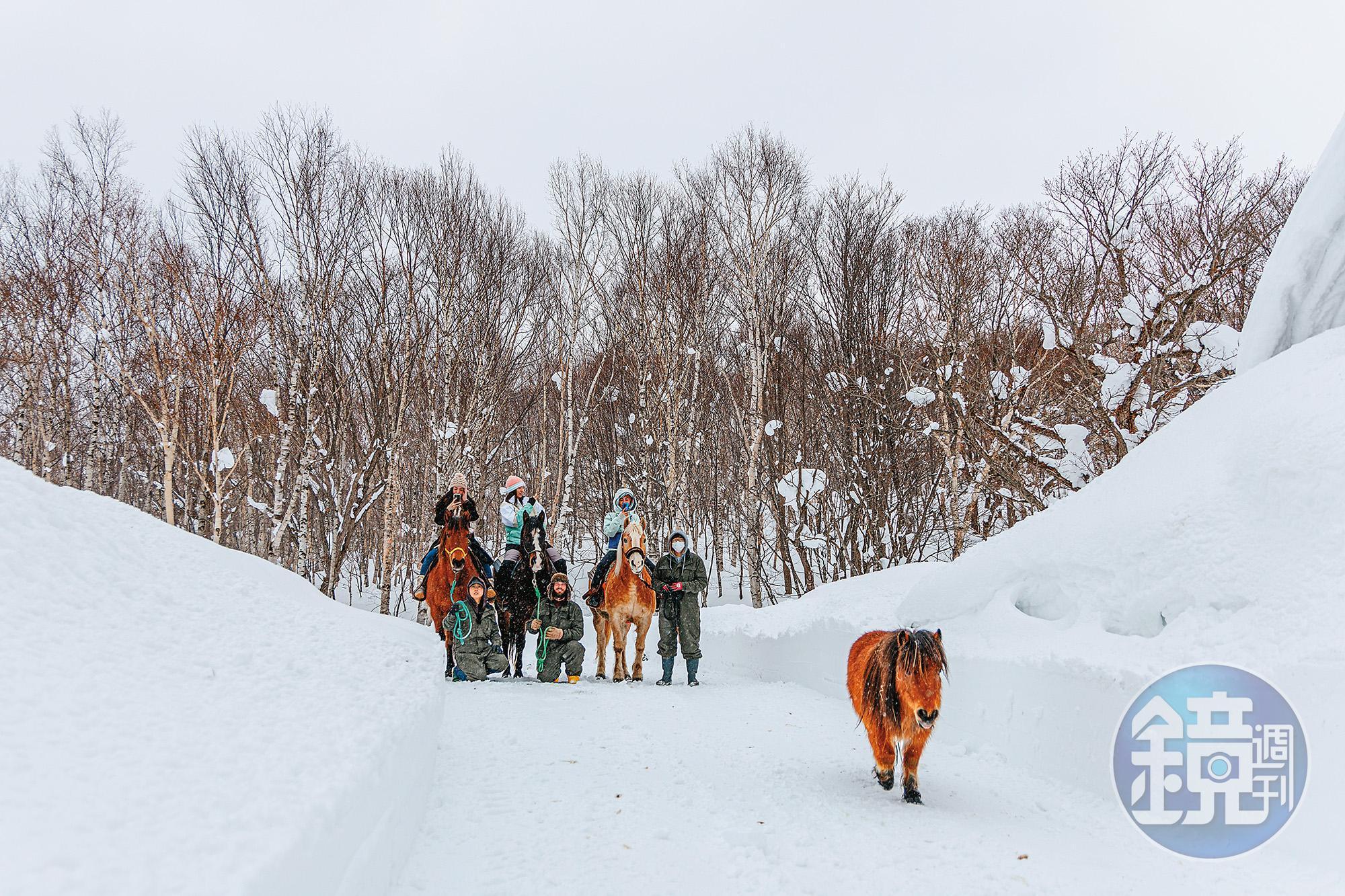 除了滑雪，遊客也可利用空檔參加村外付費行程「雪地騎馬」，拍下令人難忘的浪漫銀白雪景。