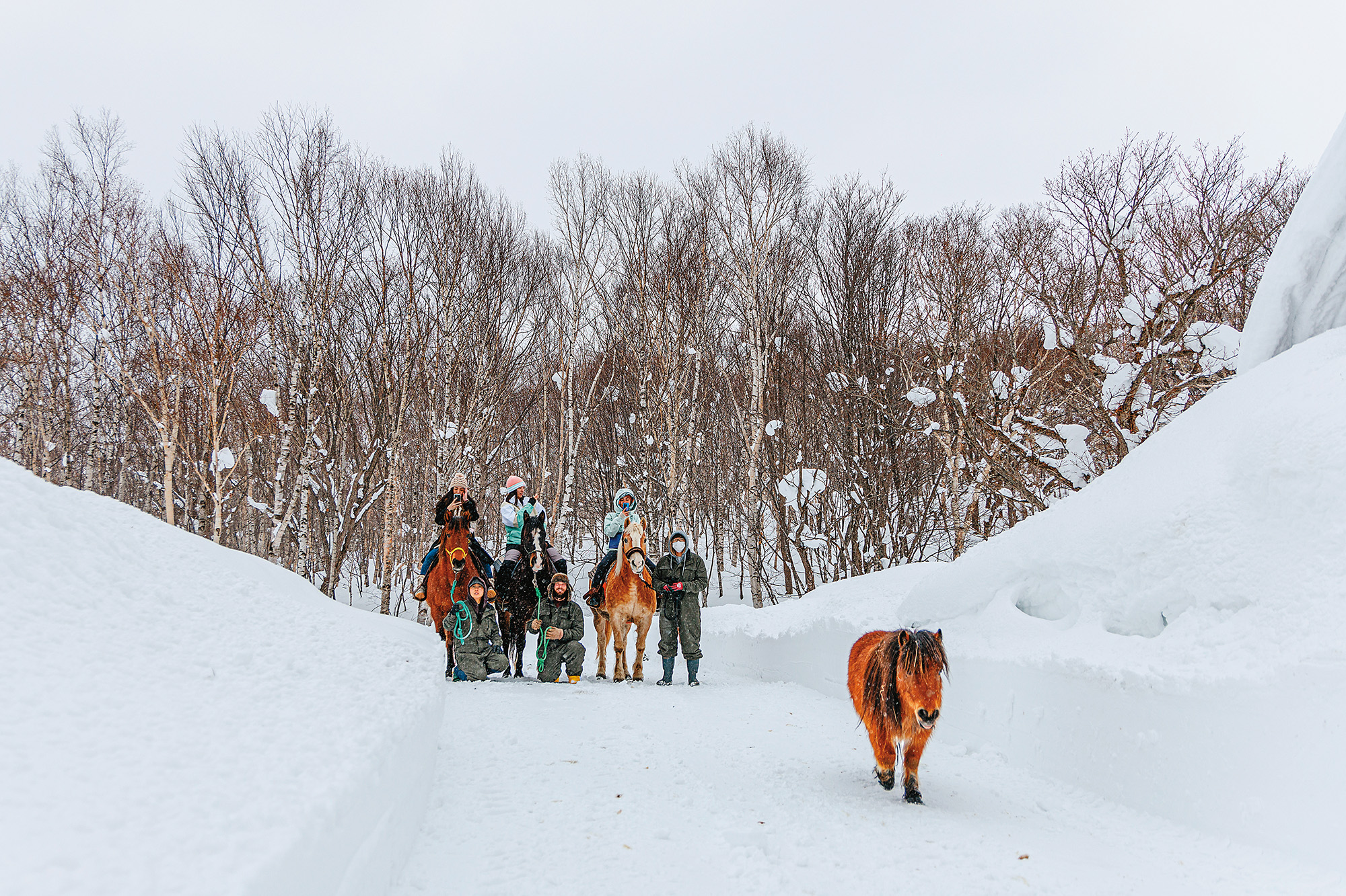 除了滑雪，遊客也可利用空檔參加村外付費行程「雪地騎馬」，拍下令人難忘的浪漫銀白雪景。