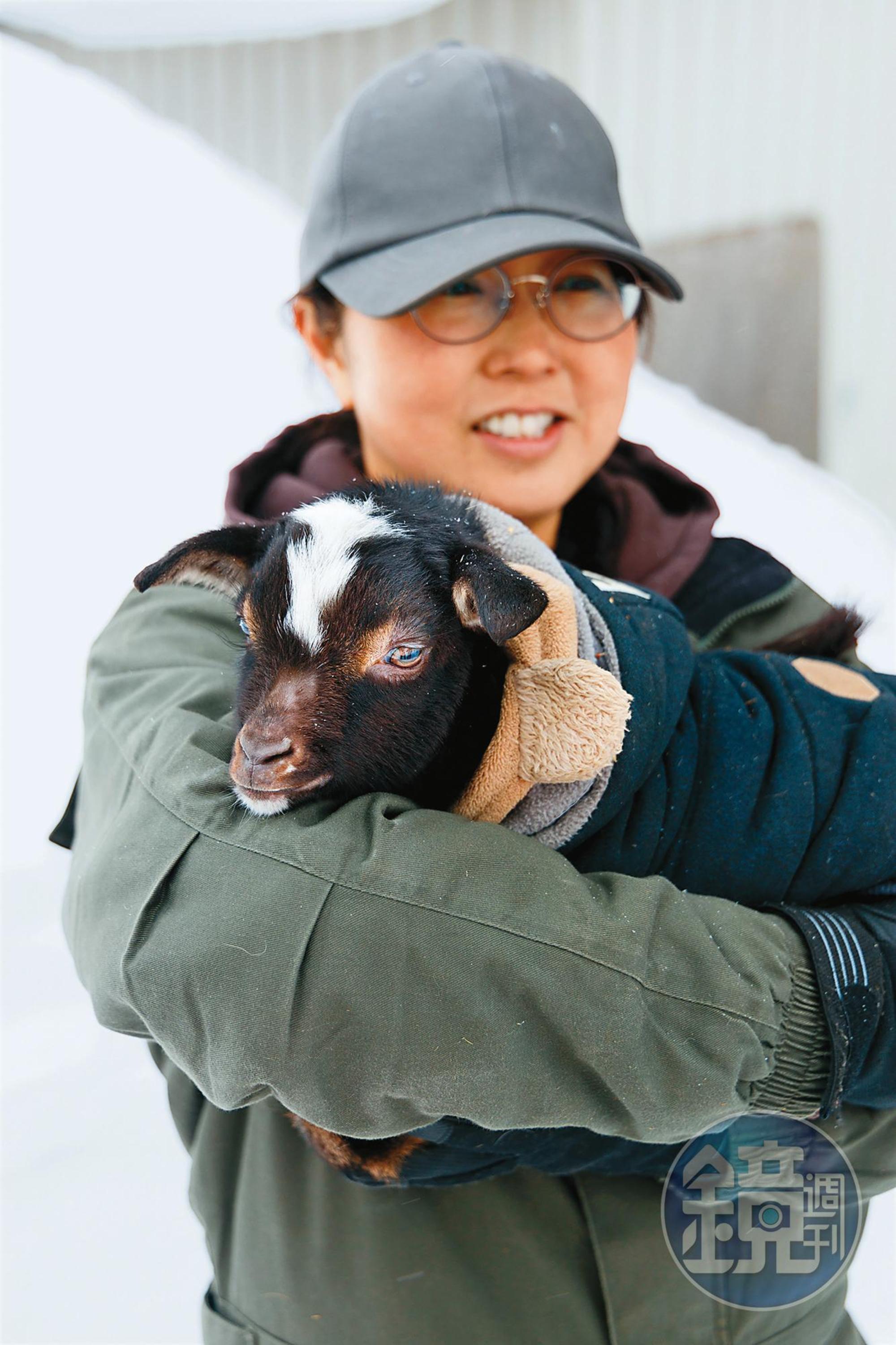 在牧場裡除了可以騎馬，也能遇見許多小動物。