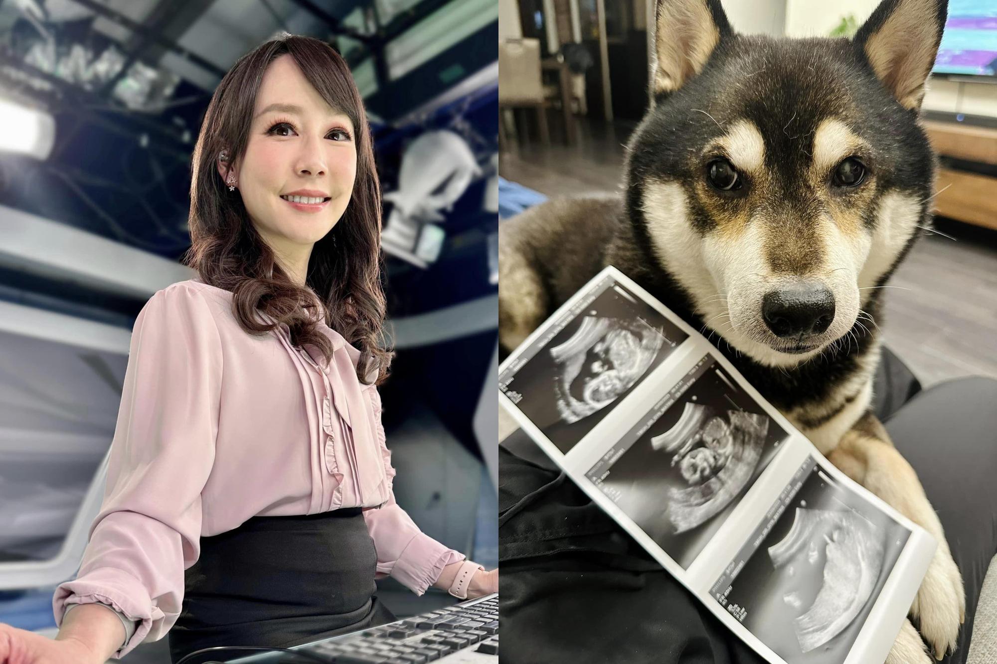 主播吳宇舒宣布懷孕,貼出了超音波照,愛狗也入鏡。(翻攝臉書)