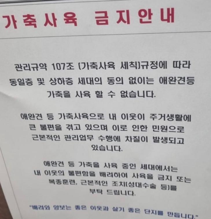李己雨近期看到社區貼出公告要求飼主對寵物進行聲帶切除手術,在社群貼文發聲大表憤怒。(示意圖,翻攝IG@lee_kiwoo)