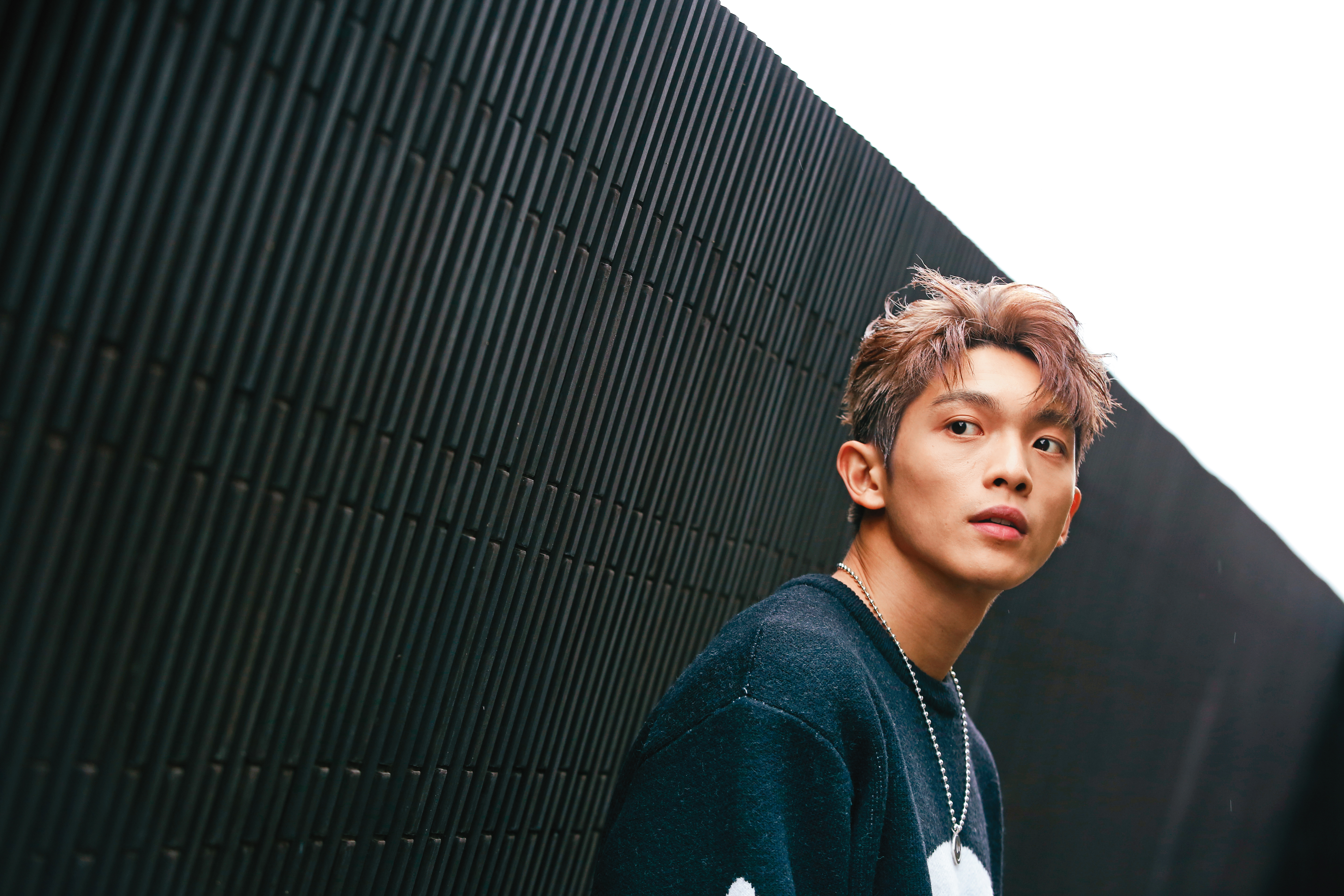 林輝瑝2012年參加凱渥選秀，因而開啟了演藝之路。