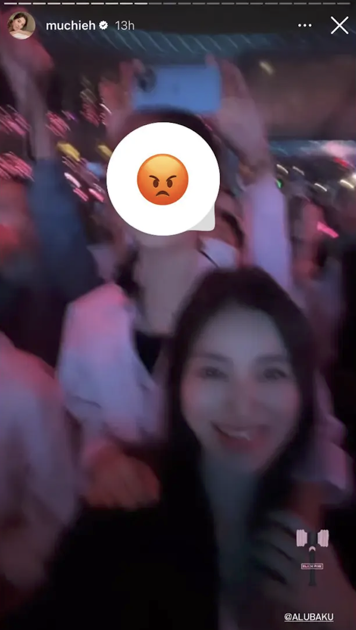 林牧潔與女兒開心看BLAKPINK演唱會。（翻攝林牧潔IG）