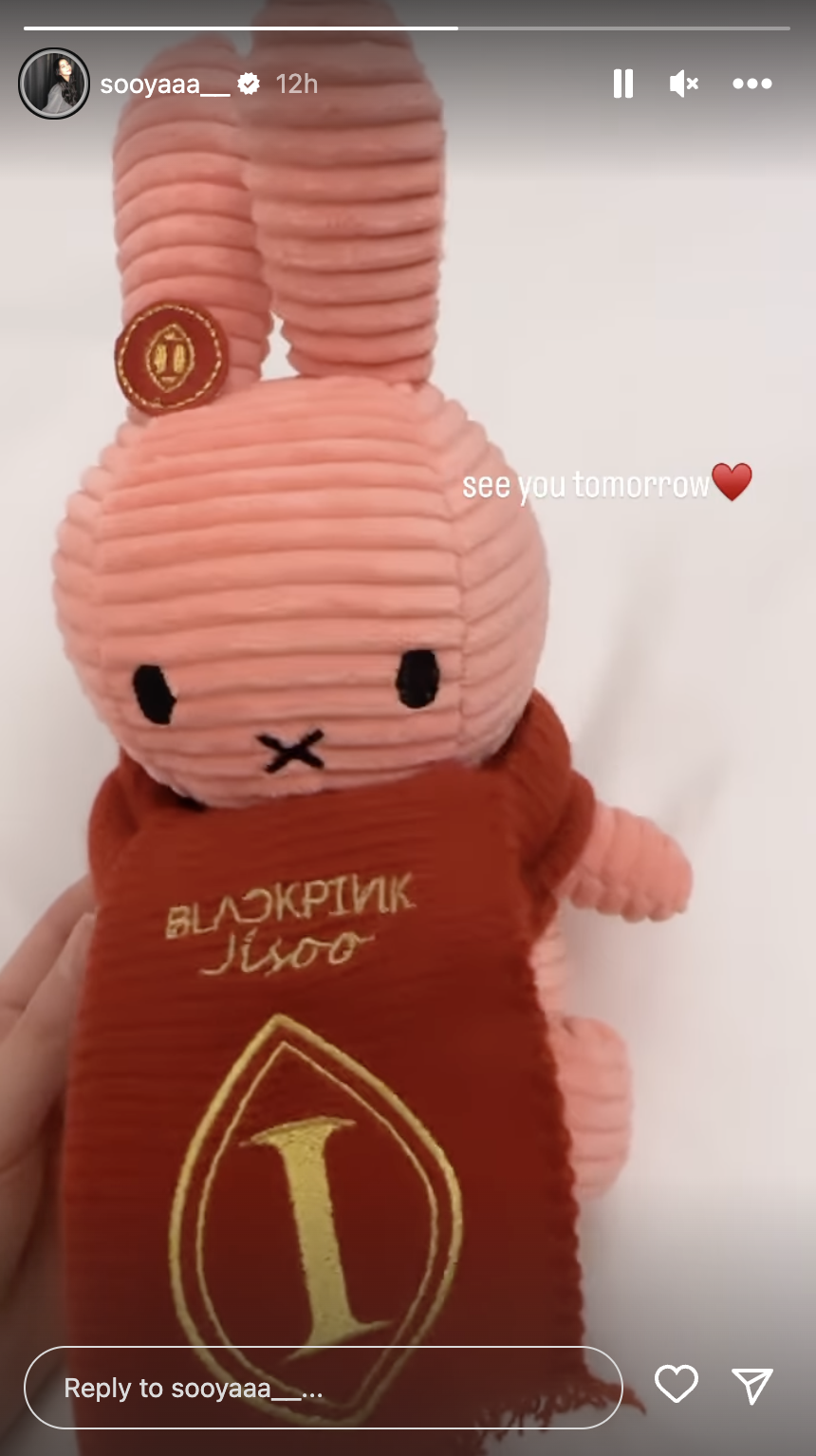 Jisoo昨晚開心拿著小兔子玩偶拍INS限動。(截圖自Jisoo IG)