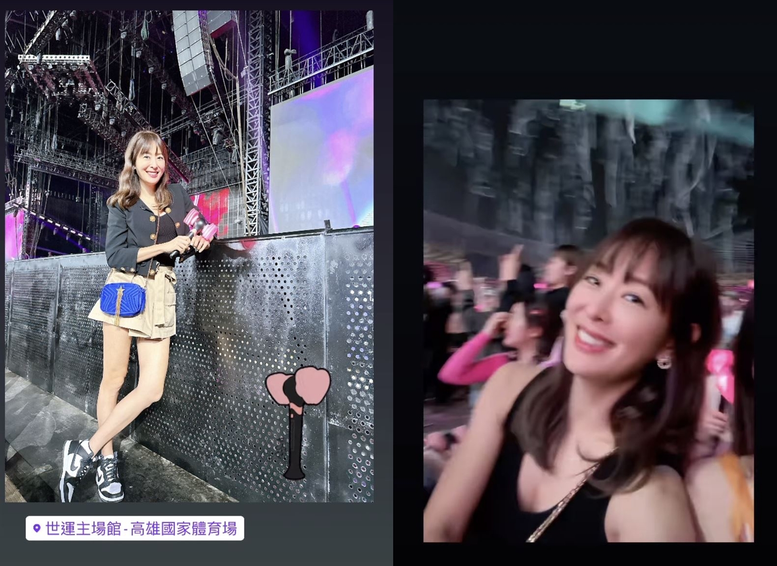 賈永婕朝聖看BLACKPINK演唱會，卻被指不管後排，站起來自拍。（翻攝自賈永婕IG）