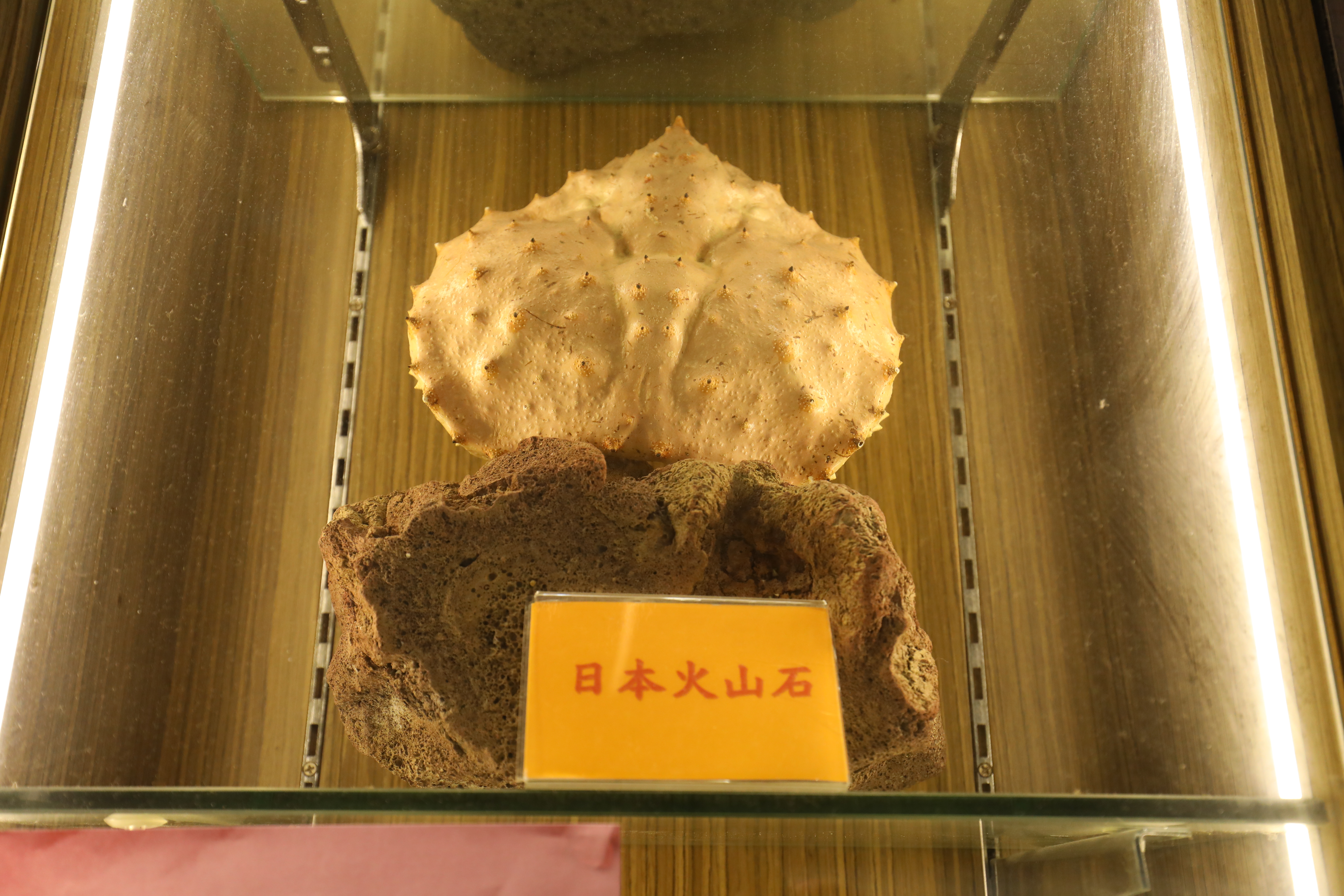 門口展示烹調煲仔飯用的火山石。