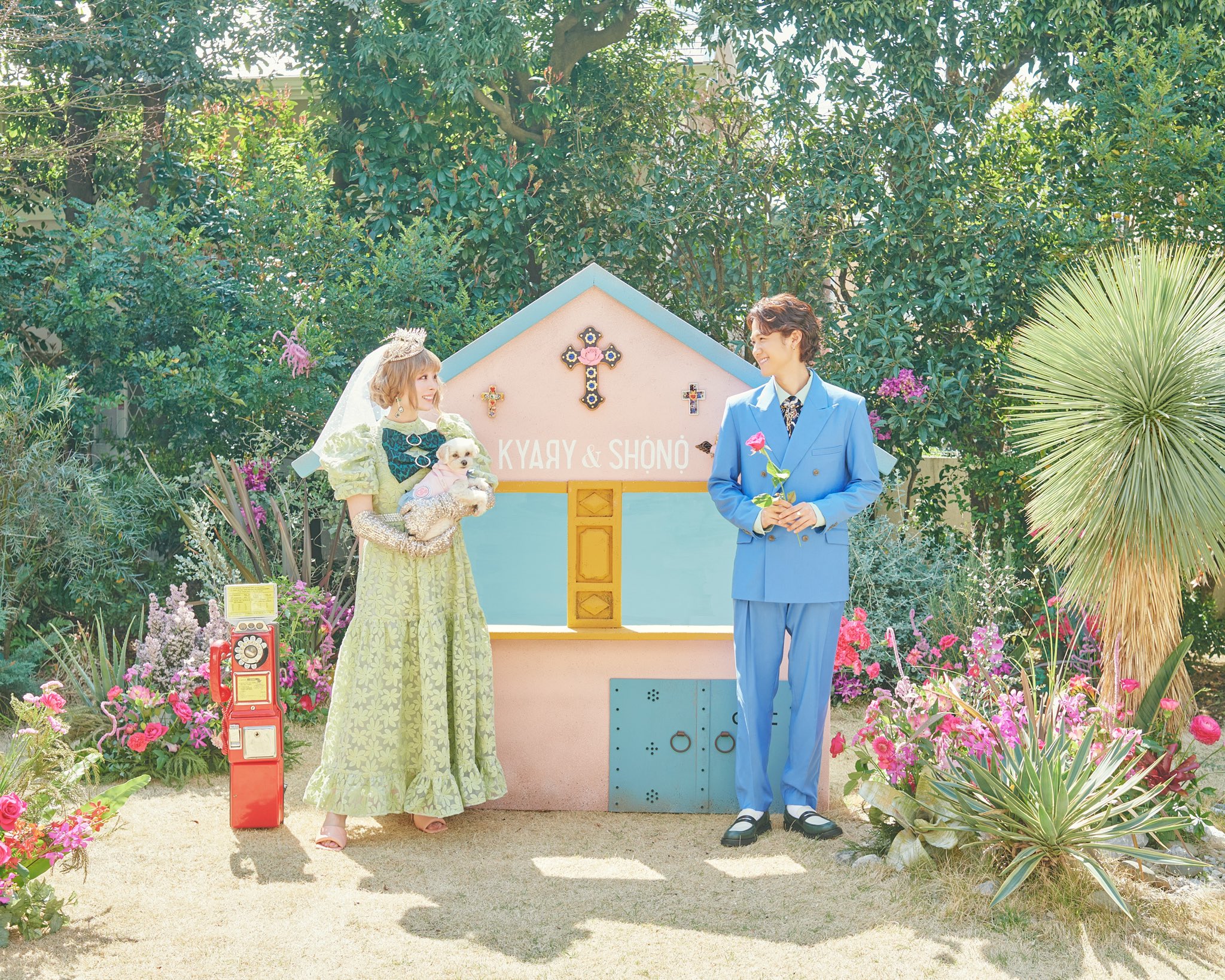 卡莉怪妞（Kyary Pamyu Pamyu）與葉山獎之閃電宣布結婚，婚紗照帶愛犬入鏡超溫馨。（ASOBISYSTEM 提供）