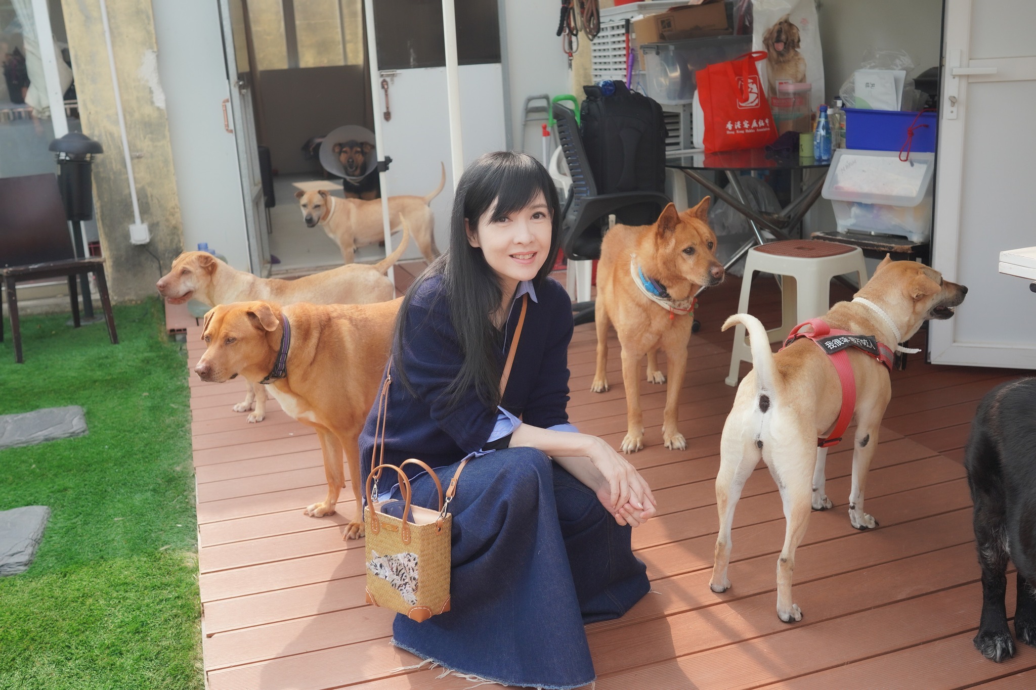 周慧敏與「幸運狗舍」的狗狗們合照。（翻攝周慧敏臉書）
