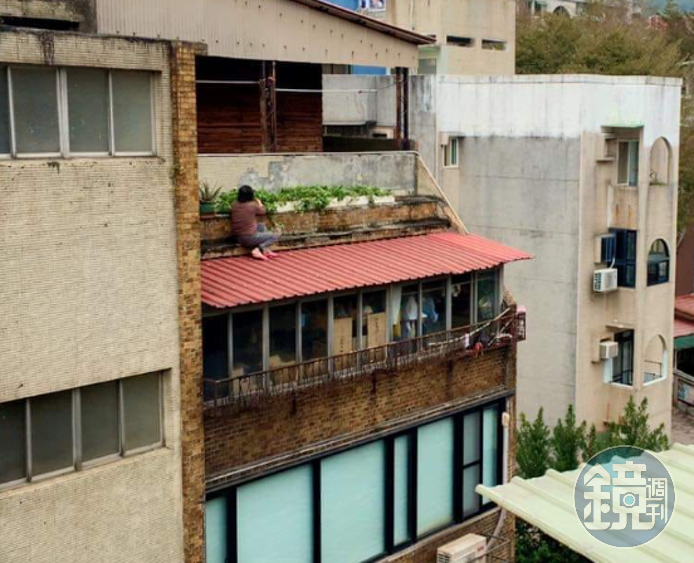 有網友拍下一名阿嬤蹲在屋頂種菜,讓旁人看了心驚驚。(翻攝自路上觀察學院)