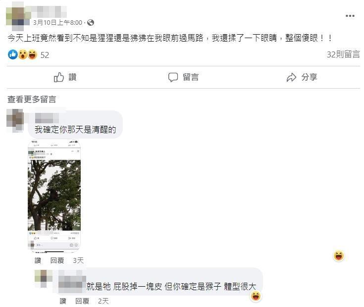 2週前有一名桃園男目擊到狒狒,PO上臉書後卻沒人信。(翻攝臉書)