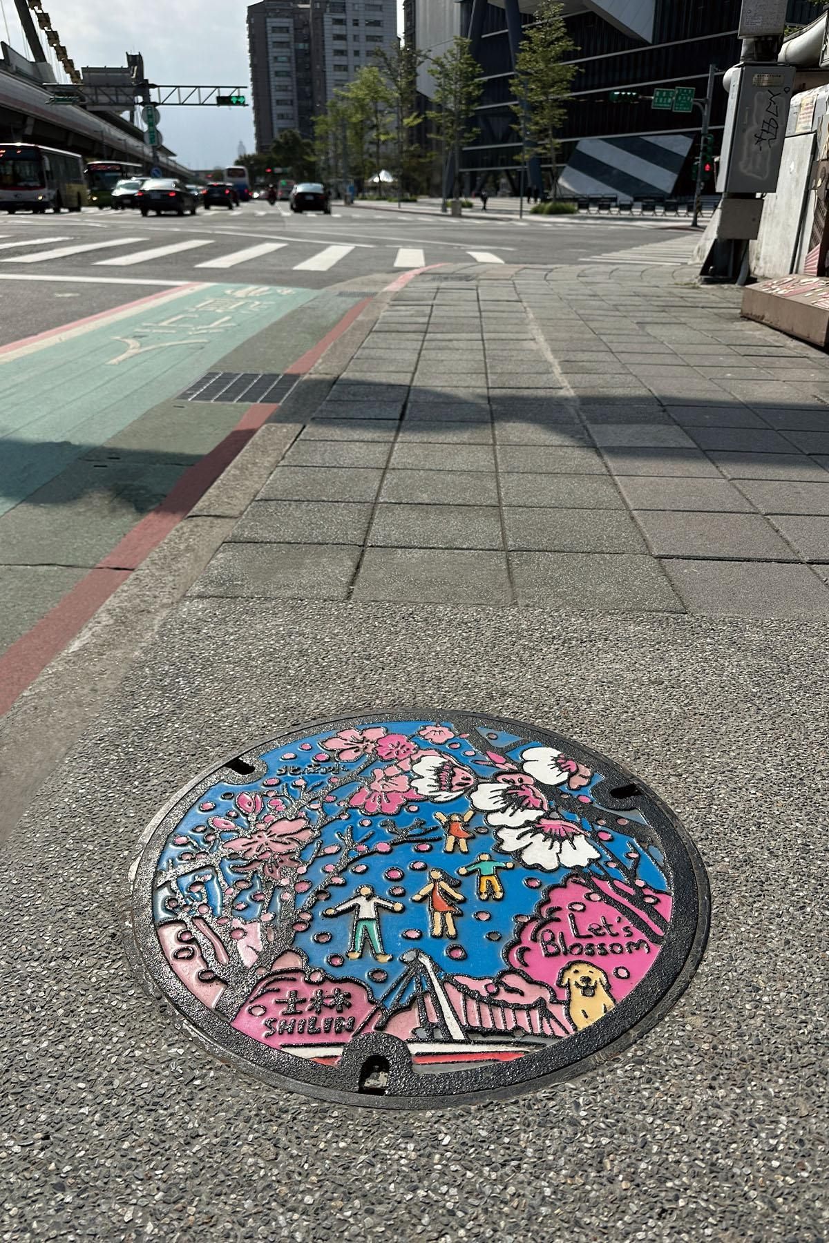 北市特色人孔蓋第二期安裝完成,圖為士林區特色人孔蓋-Let's Bloom 陽明山的野櫻花。(北市水利處提供)