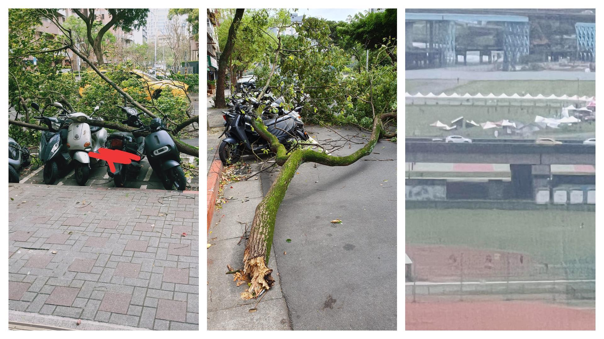 台北市下午突颳起一陣怪風,網友陸續曝光「災情」。(翻攝自天氣風險臉書)