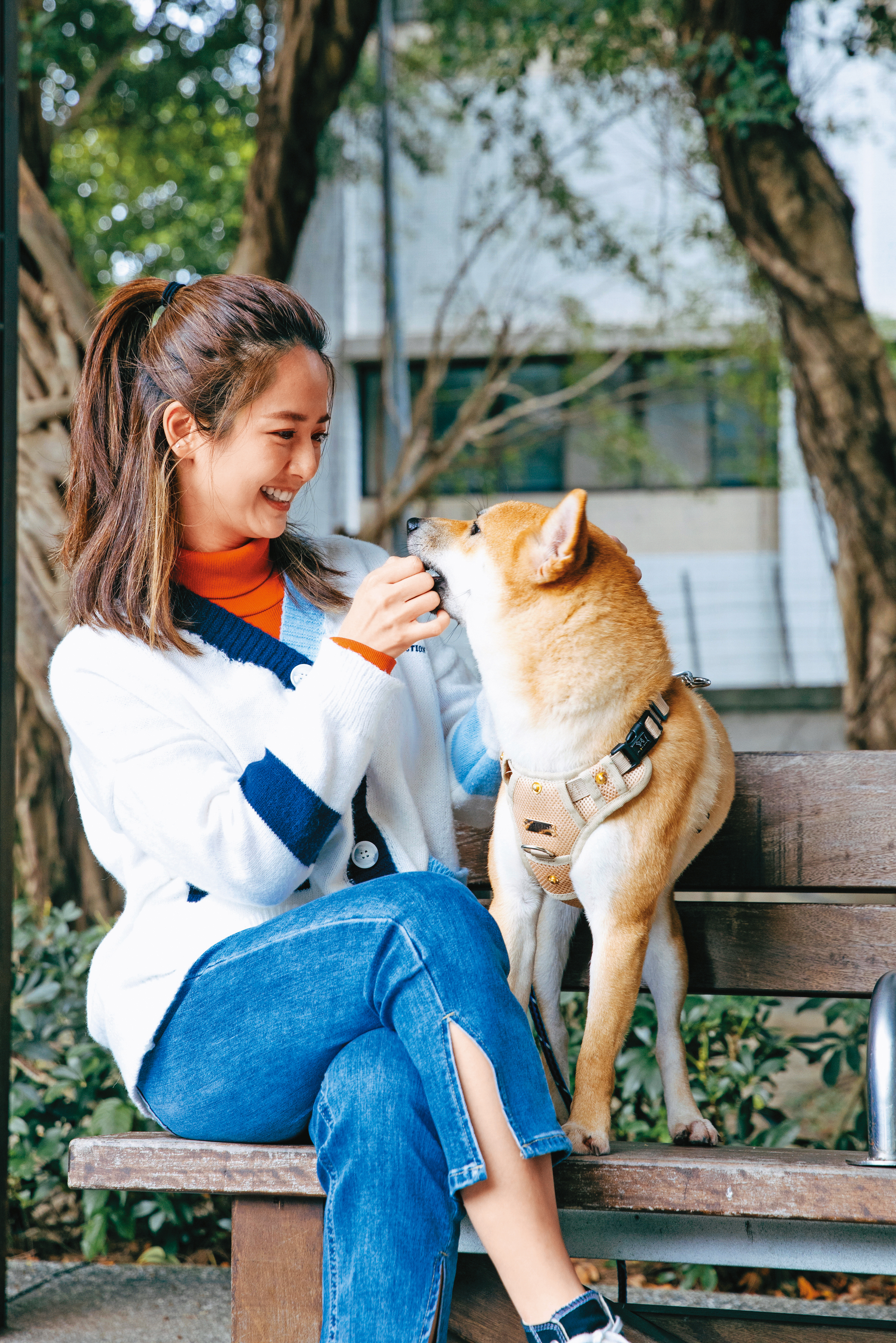臧芮軒第一次養狗狗,就選擇性格固執的柴犬,坦言這半年讓她吃盡苦頭。